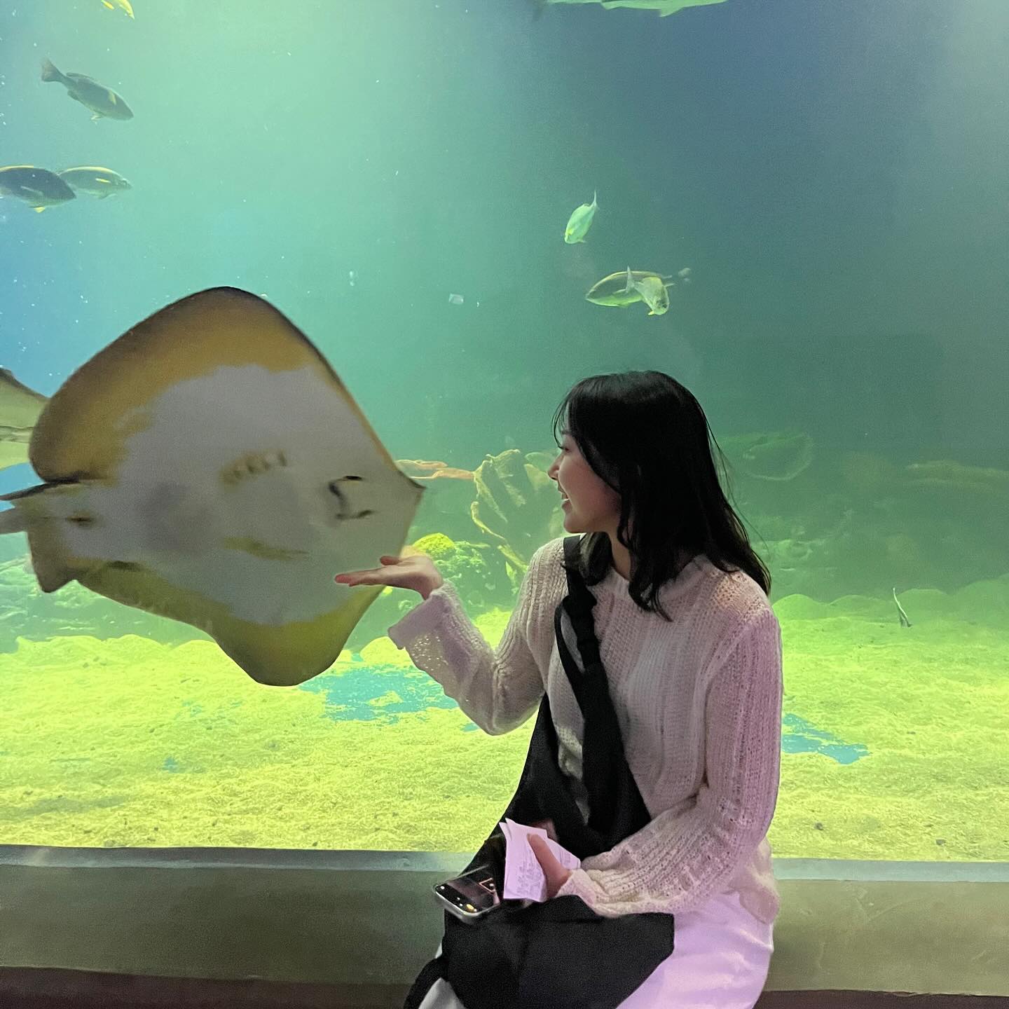 하마 보러 간건데◜◡◝