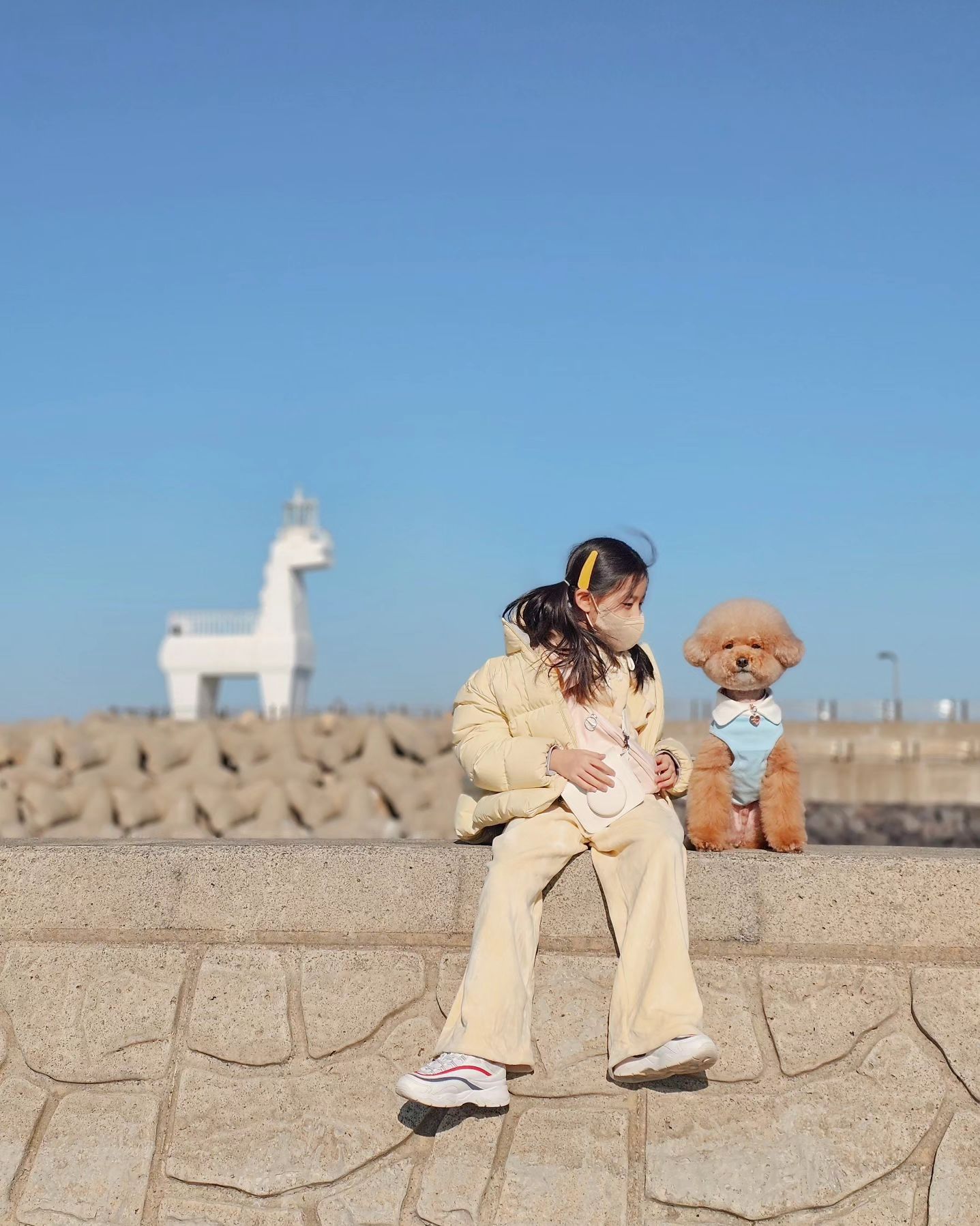 #이호테우말등대 🏖
마이가 알려주는 이호테우 사진 꿀팁☝🏻

공항이랑 가깝고 유명한 말 등대도 있는 이호테우 해변🌊
온전한 말과 함께 예쁘게 사진 찍기 어렵다 하더라구요〰️
그래서 같이 예쁜사진 찍자구 알려드려요💕

주소는 제주 이호랜드 치고 가시면 주차장도 넓고 
그 쪽 방파제에서 하얀 말, 빨간 말 다 찍을 수 있어요//
저는 (갤럭시 폰 기준) 인물모드 2배, 3배로 찍었어요✨️
1배로 찍으면 말이 너무 작게 나와요〰️
이제 말 등대랑 찍겠다고 말 코 앞까지 가지 않기로 약속🤙🏻

제주 도착 직후, 떠나기 전에 잠깐 들러서 예쁜사진 찍고 가세요✈️
이호테우는 노을맛집이라 저녁에 가도 예뻐요🌅

#이호테우 #이호테우해변 #말등대 #목마등대 #제주포토존 #제주바다 #강아지랑제주도 #제주애견동반 #제주 #제주도