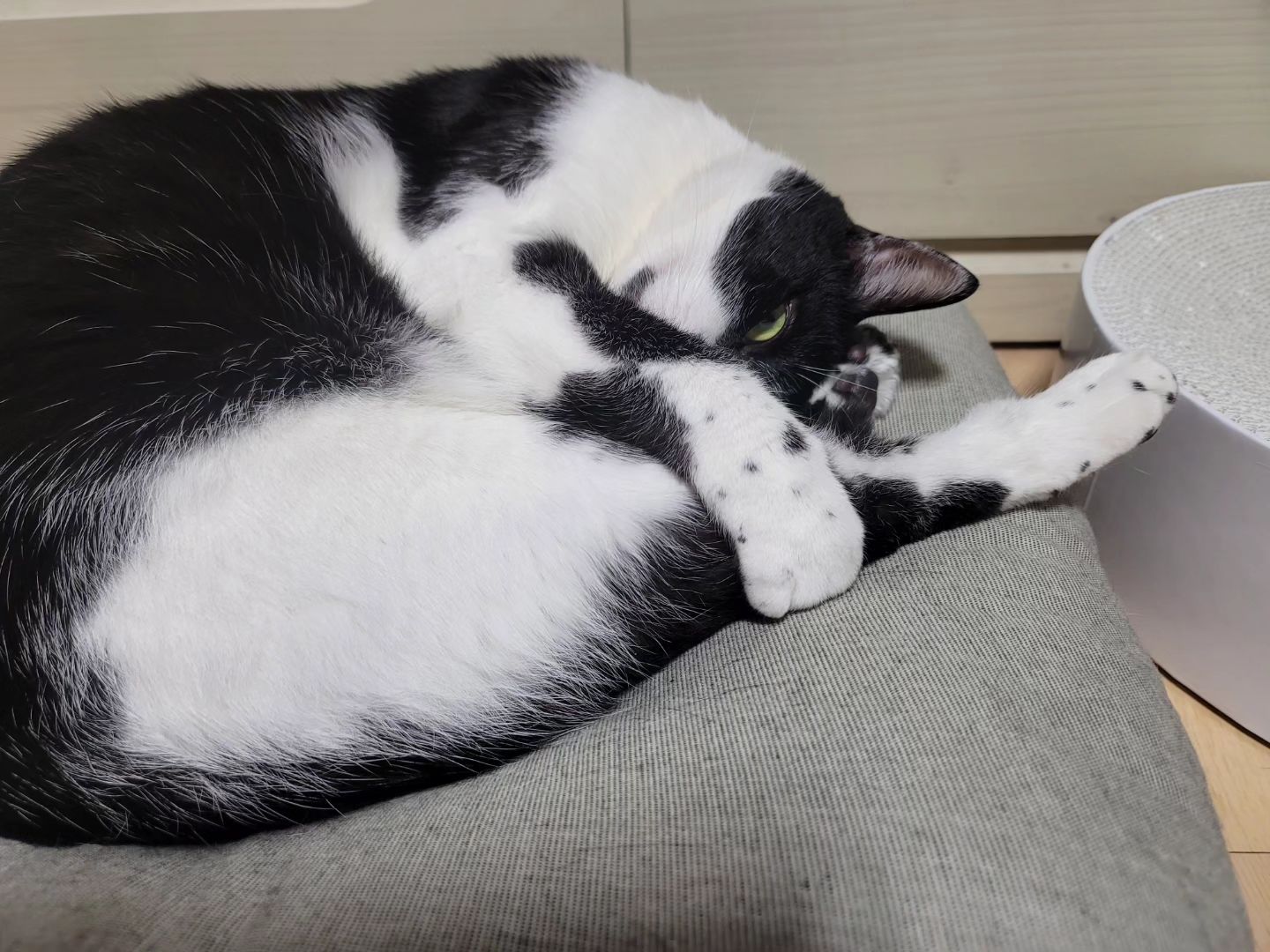 왕치킨 내꼬얌