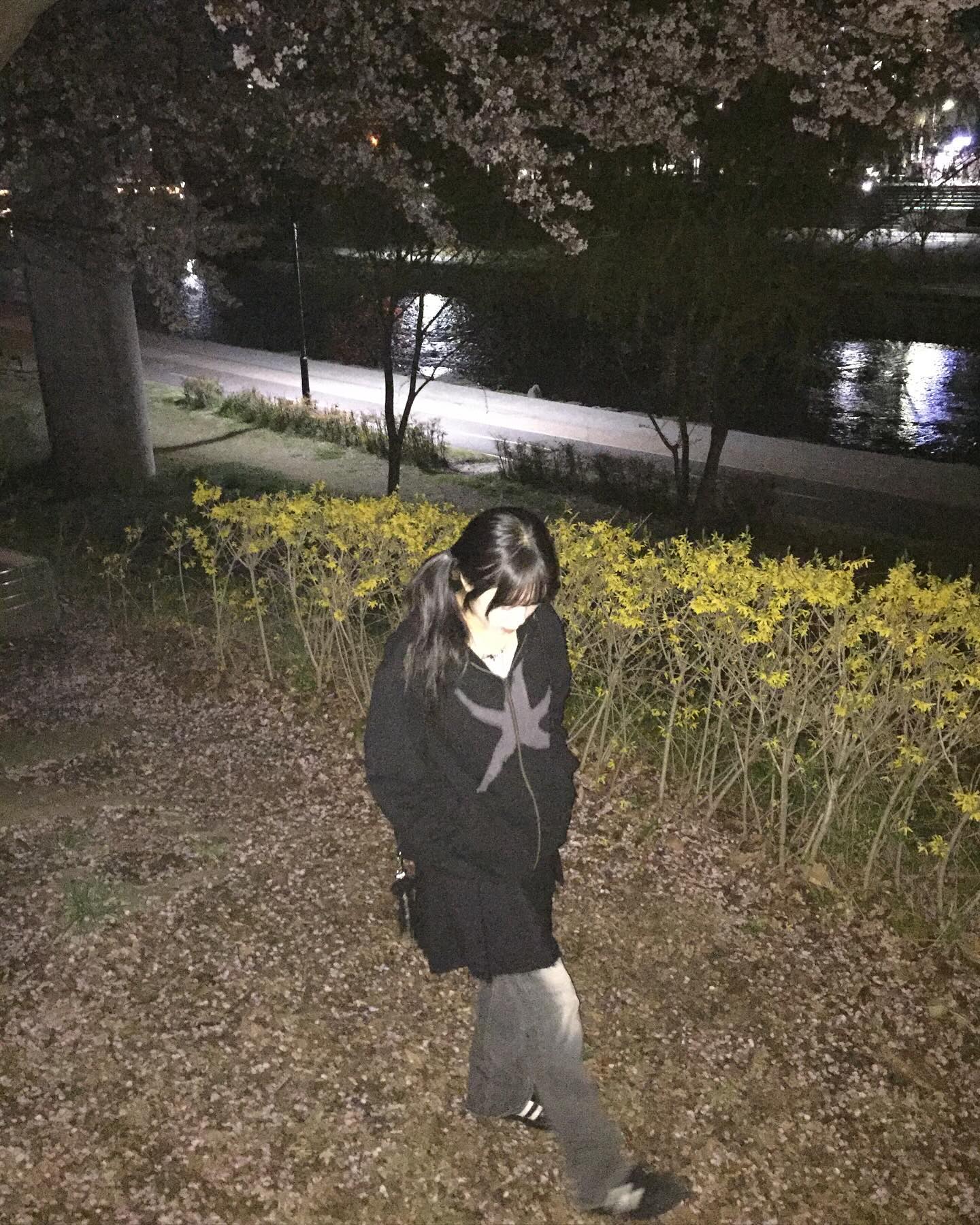 💛🌸