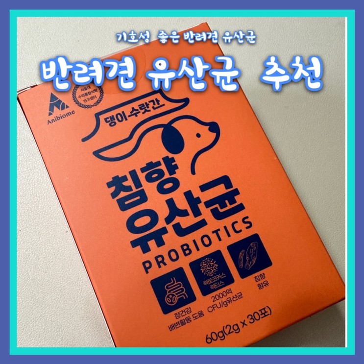 [강아지 유산균 추천] 5세 푸들 2주 급여 후기