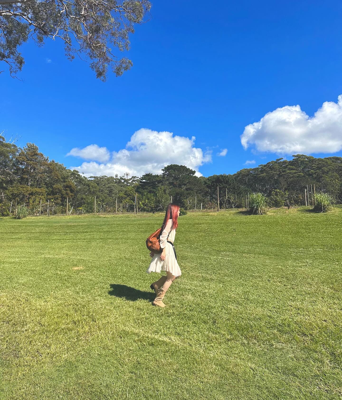 윈도우 배경화면 그자체였던 와이너리🍀🌳☁️