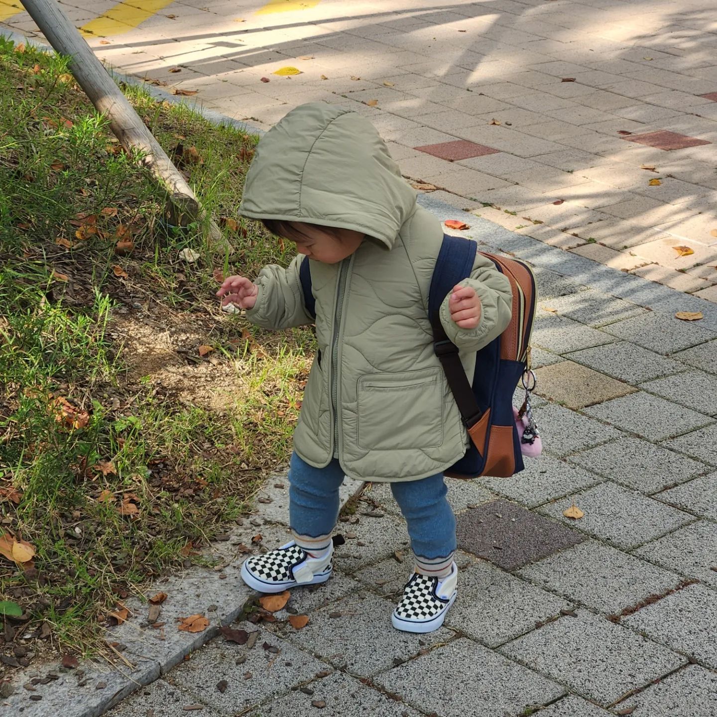 -
어린이집 가는 길
자연관찰하면서 2분거리 10분동안 가는 중

조심성 많은 제니는 처음 본 사람이나 물건한테 가까이 다가가지 않는데... 
어린이집 나뭇잎, 도토리, 솔방울을 가지고 하는 활동이 많아서 최애가 되버려따..
나뭇잎 콜렉터🍁