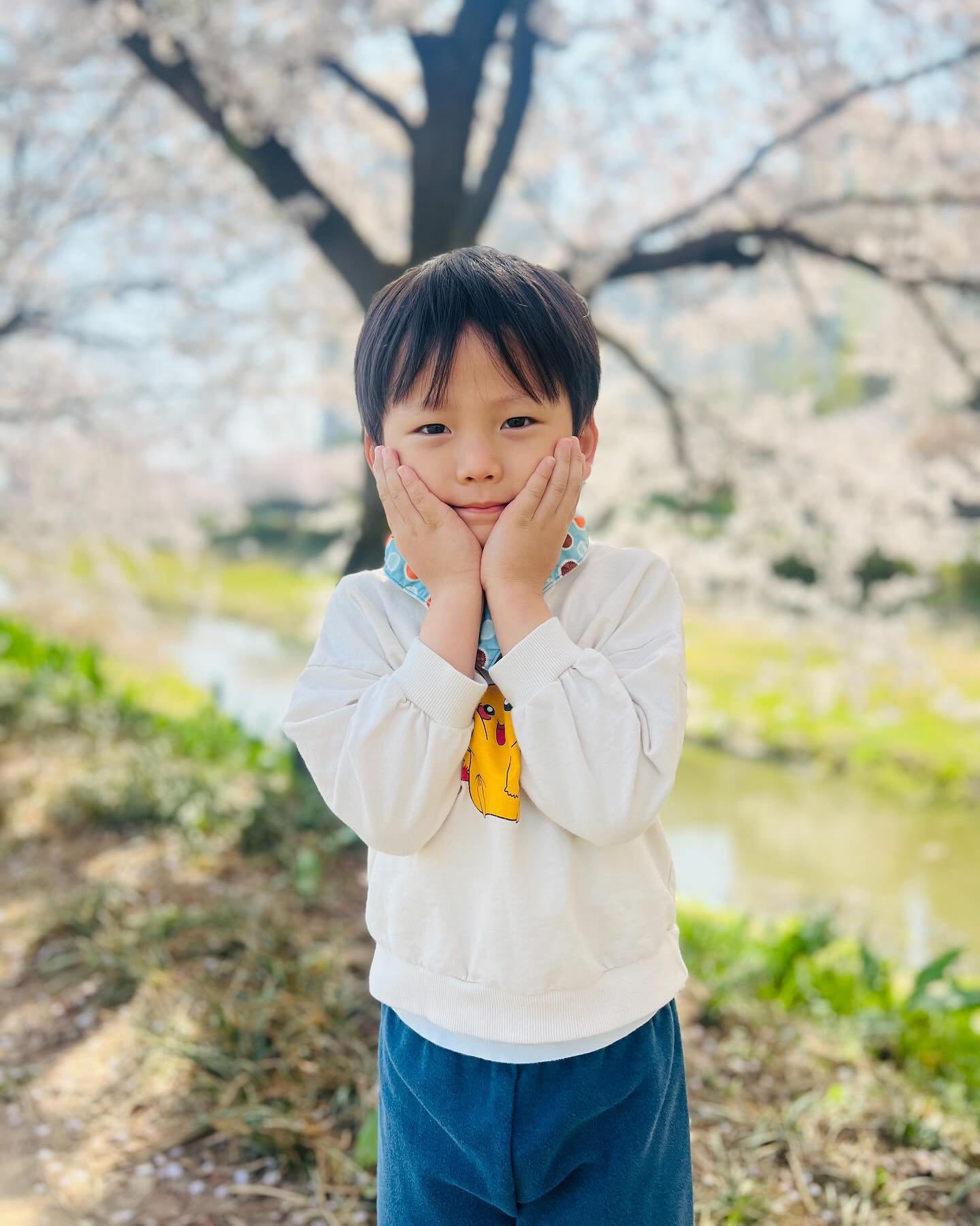 유치원 앞이 벚꽃스팟이라 유치원에서 산책 🌸