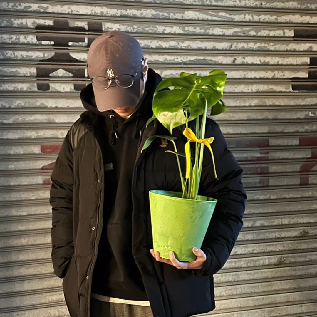 몬스테라맨