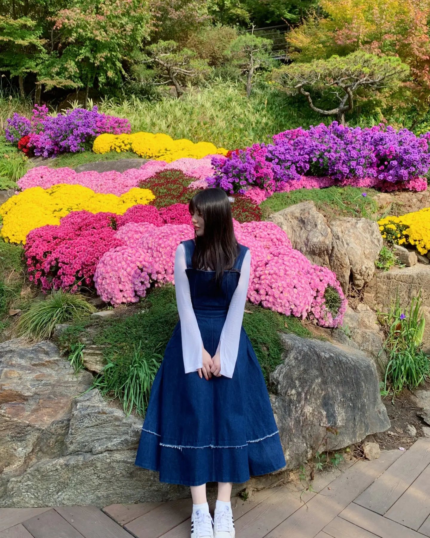 🏵
단풍보러 왔다

국화꽃이 활짝폈네~

꽃 냄새 맡으며

눈으로 행복🩷
.
.
.
.
.
#국화꽃
