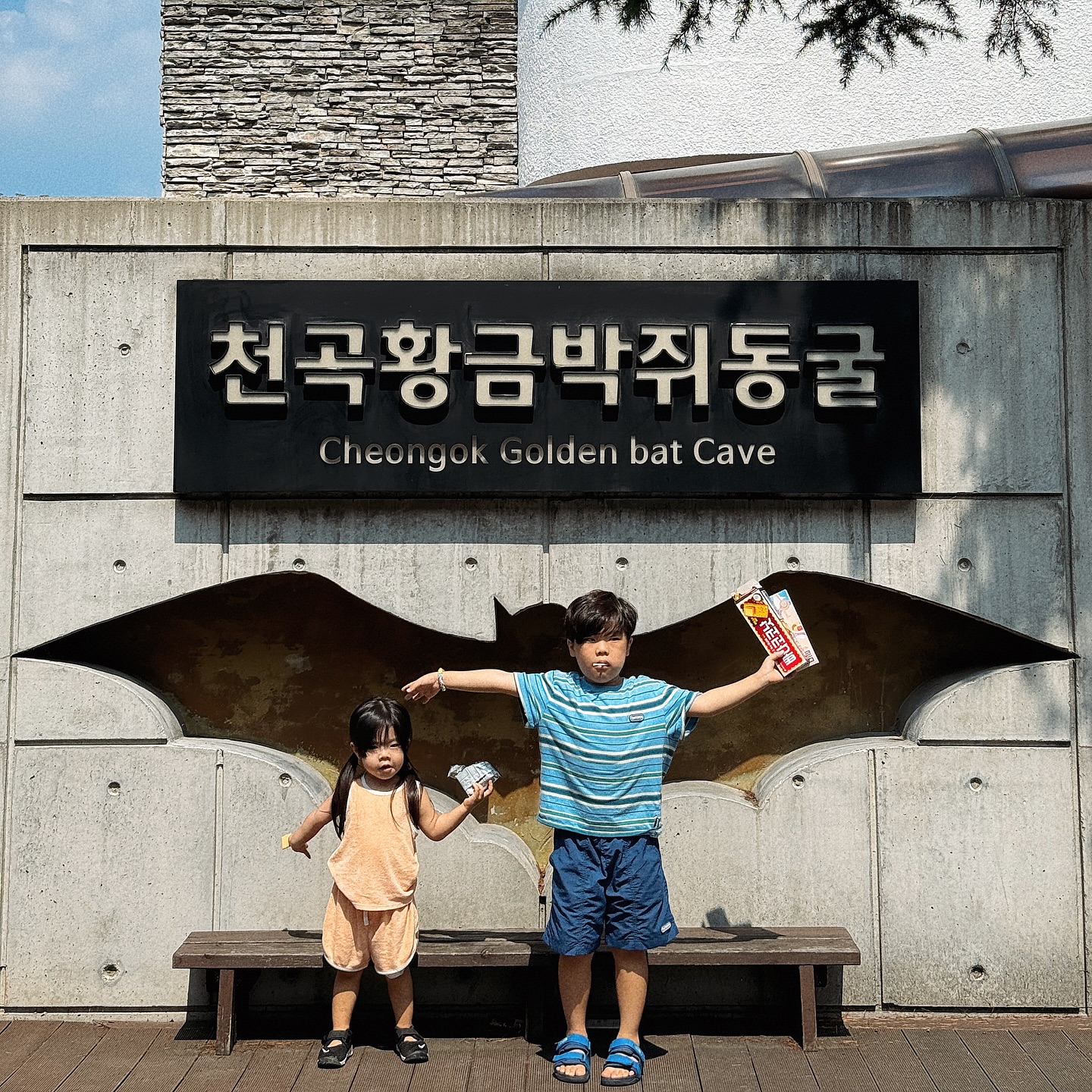 D.2520, D.1057
-
더운 여름 바다 안갈거면
동굴로 대피하세요
처음동굴 가봤는데 너무 시원하니 좋다
가파른길에 몇개 있지만 조심히 다니면 괜춘
아가들은 꼭 엄마 손잡고 가기
사람이 글케 많지 않아 천천히 구경하기 좋아요
들어가면 나갈 생각이 사라짐.. ㅋㅋㅋ
박쥐가 있다고 들었는데 우리가 갔을 때는 없었어요
아쉽네 🥲
여름에 가야지 시원함을 제대로 느낄 수 있는곳
.
.
#천곡황금박쥐동굴
.
📍 강원 동해시 동굴로 50
⏰ 매일 08:30~19:30
🎫 어른 5,000원
청소년 3,000원
어린이(초등학생) 2,000원
.

.
.
#예예남매🧒🏻💖👧🏻_동해