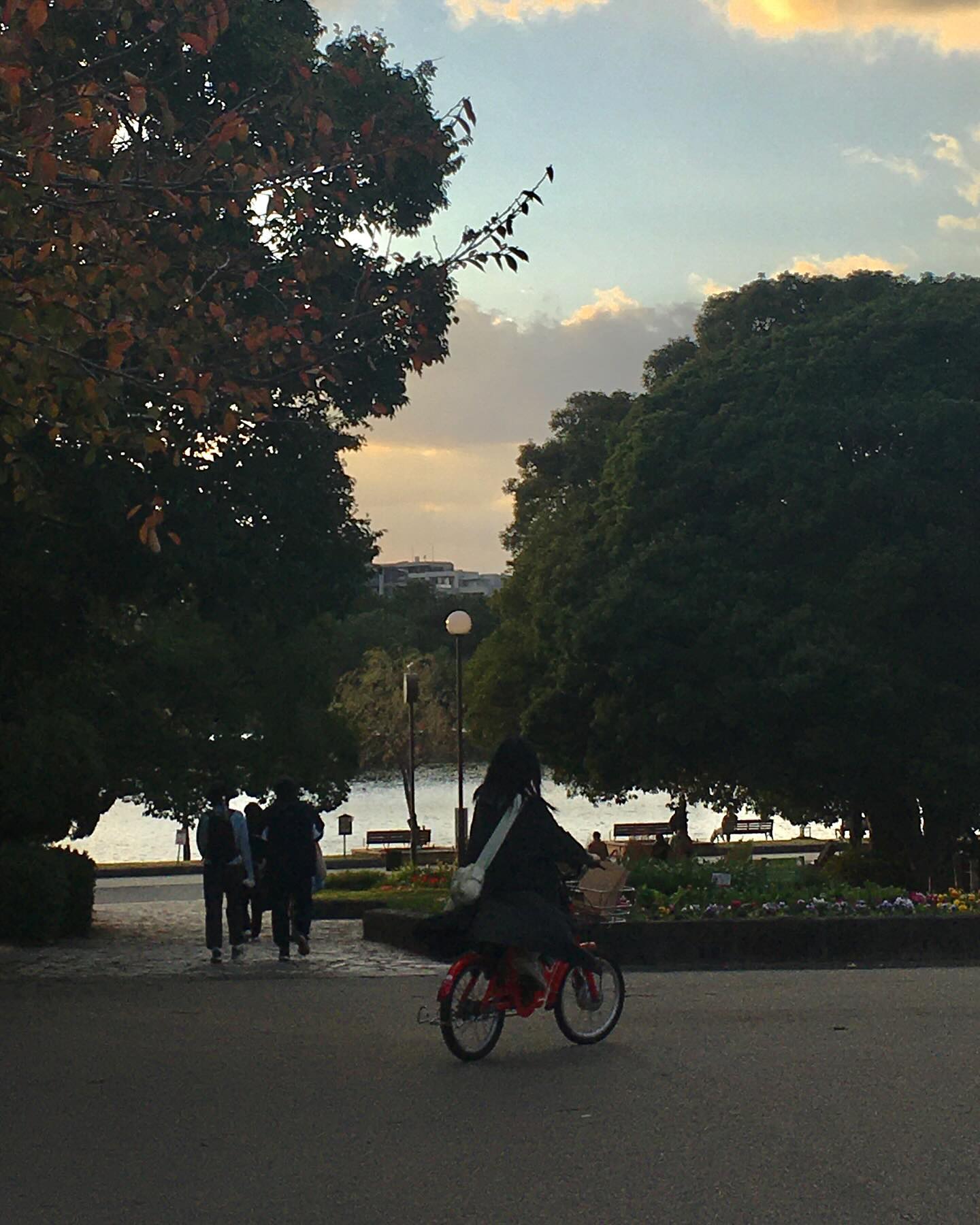 힐링🚲