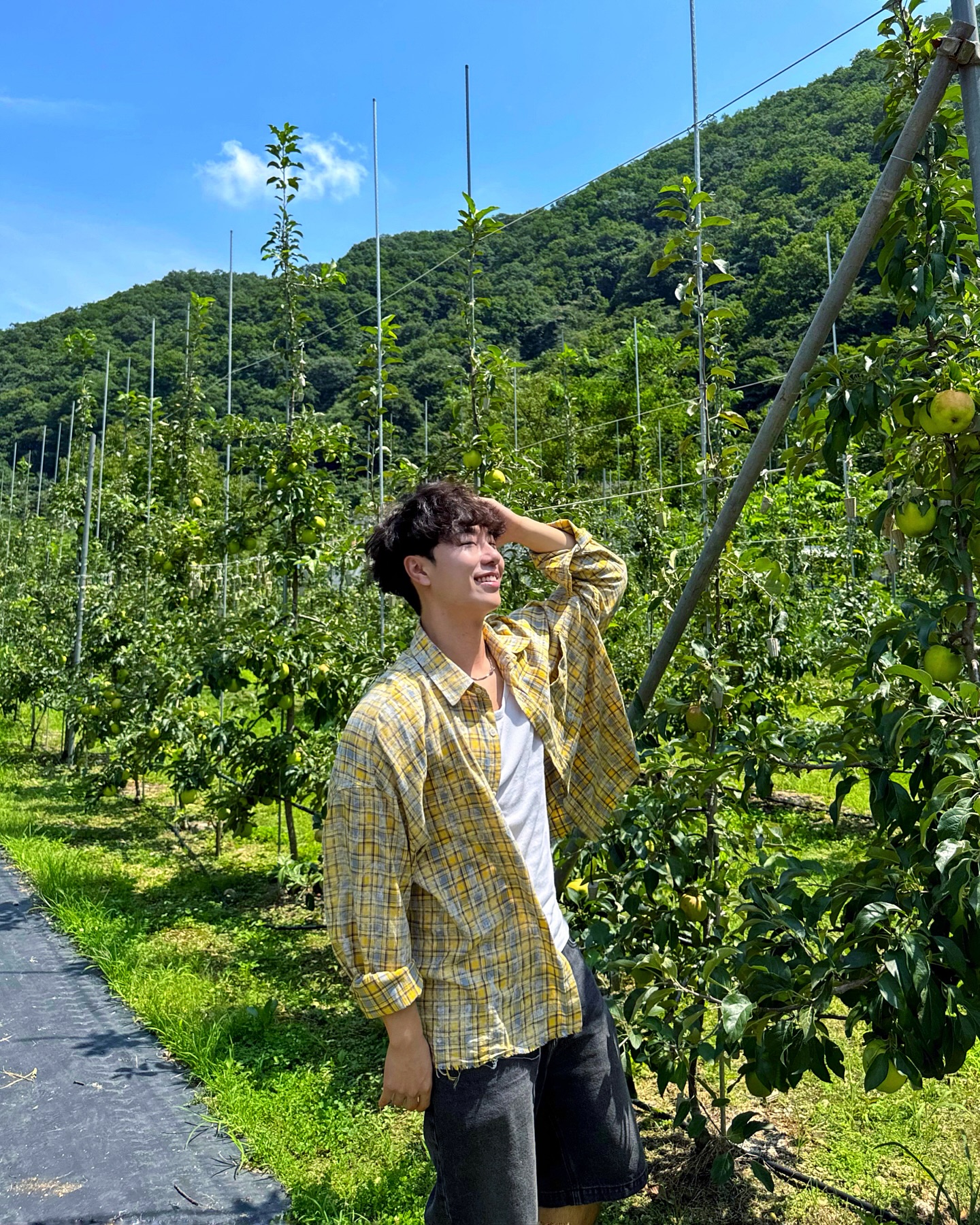 사과밭 그 사나이 🍏
