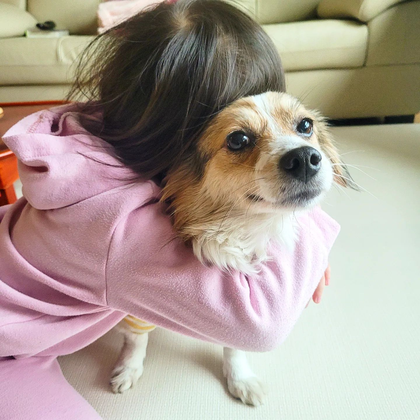 ❤️
우리 너므너므 예쁜 뽀 사진은
뚜띠뽀 계정에 자주 올라옴😉

hi_dduddi

요긔