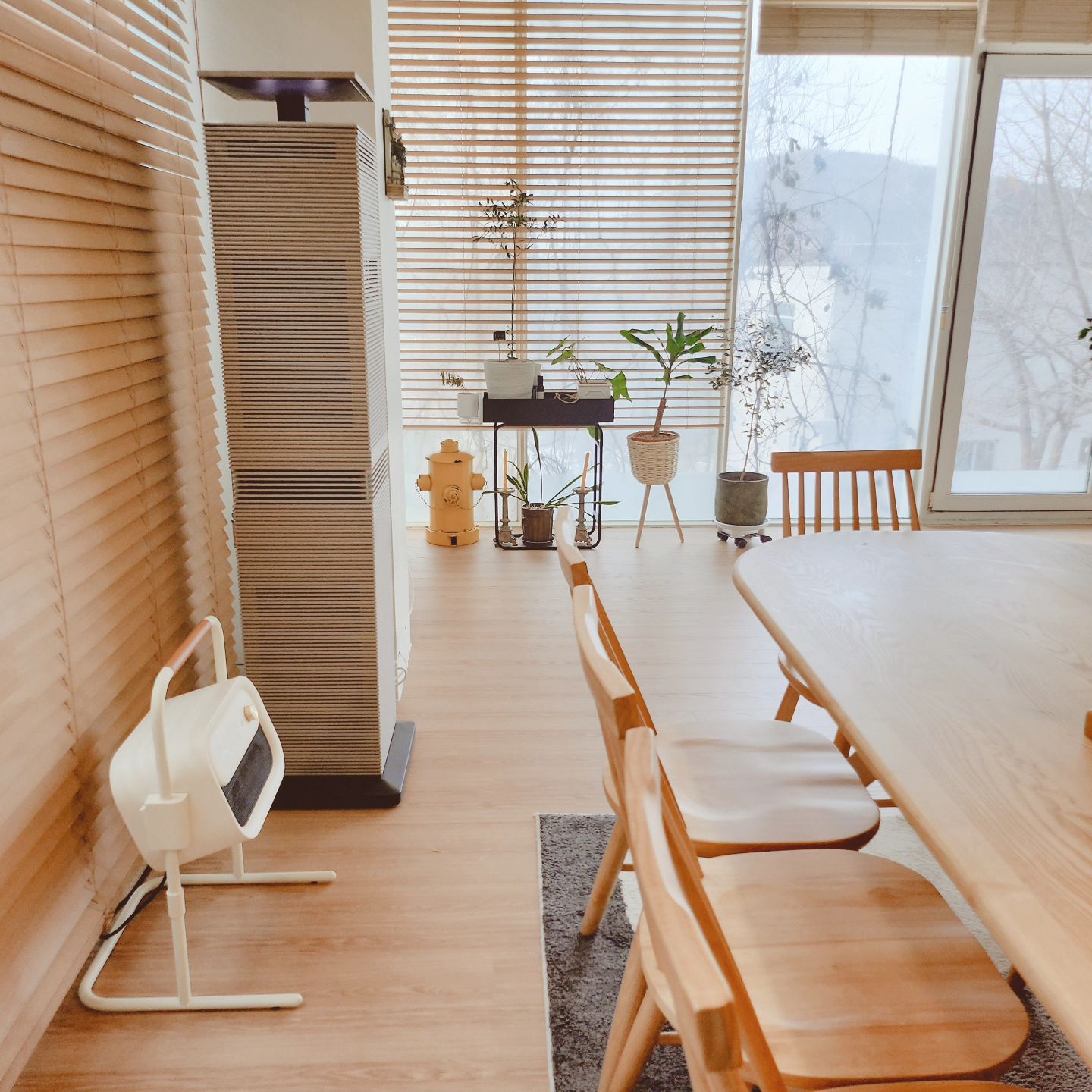 주방 다이닝룸 식탁 옆에 있던 김치냉장고 세탁실로 옮겼더니 왜 이리도 넣어 졌지 ~~김치냉장고 자리에 공기청정기 뒀는데도 확트임 ~~옮기길 잘한듯 
역시 가전제품 위치가 중요 #다이닝룸인테리어 
#식탁위치 #김치냉장고자리 #홈데코 #가전옮기기