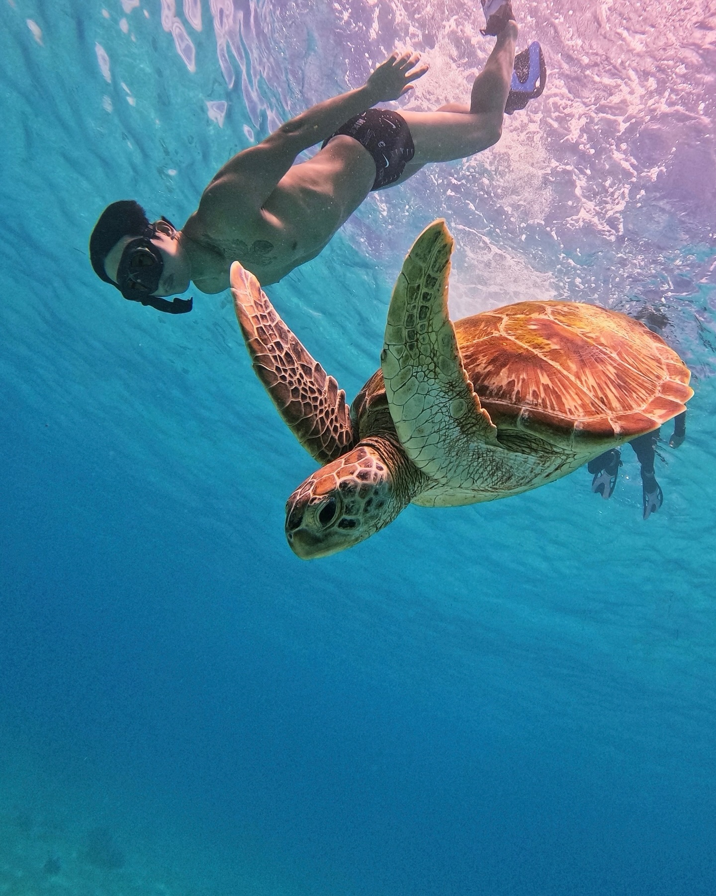 🪸🪼🐠🐡🐟🐢
바다를 나는 꼬부기와 
보물 섬 발리카삭