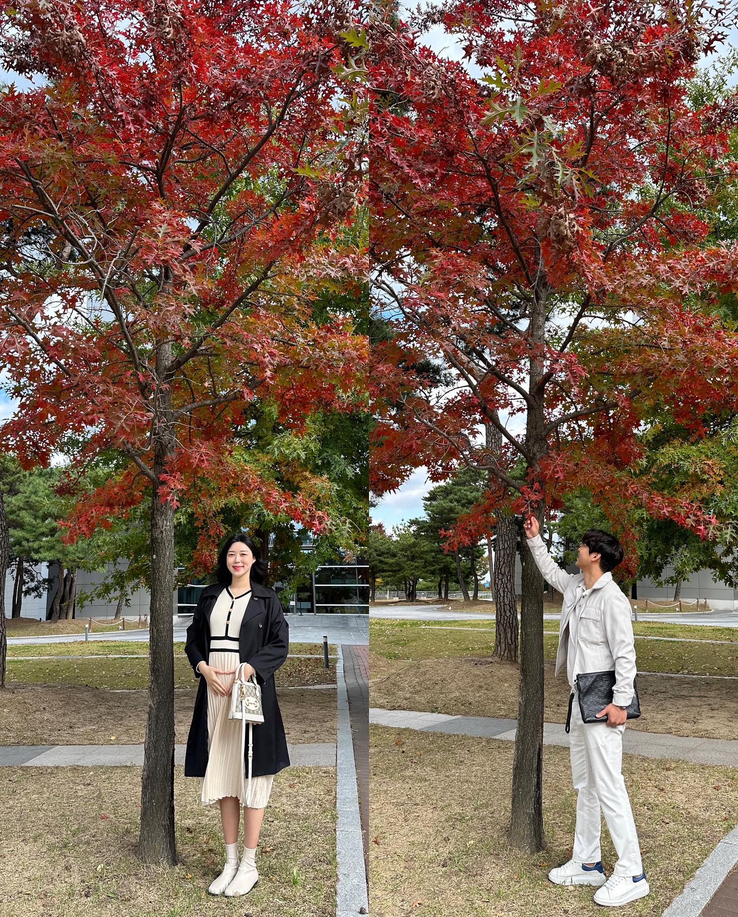 7개월된 축복이 태교할겸, 단풍 구경하러 #대구미술관 방문- 출산전 마지막 연주 하러 가기 전에 잠깐 시간내서 다녀왔는데도 리프레쉬 되고 아주 좋았다. 그림 감상도하고 단풍도 보고 노래도 부르고 꽉 찬 주말 보냄! ☺️🧡 #실리와마이진 #칼안드레 #이성경짐작하는경계 #윤석남 #태교스타그램 #문화생활 #단풍구경 #대구단풍