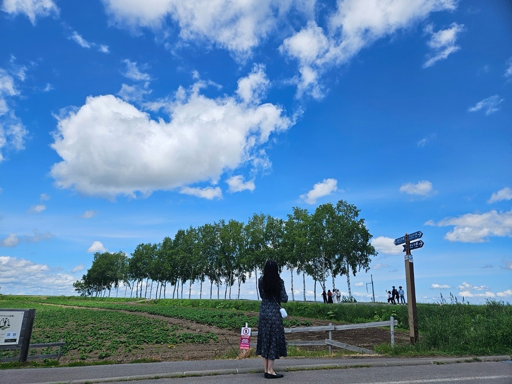 역대급 하늘 ☁️💙🌳🌳🌳🌳🌳