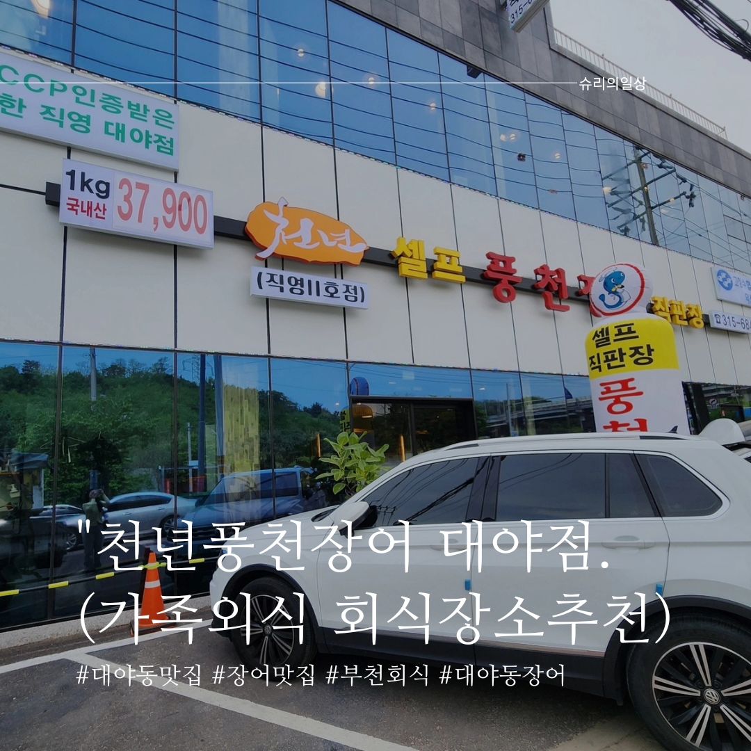 셀프풍천장어 대야점.

장어가 실하고 맛있었던집❤️

⏰️영업시간
매일 11:00~22:00 (라스트 오더 21:00)
🏠주소 
경기 시흥시 호현로 183 천년풍천장어 시흥 대야점.
🚗주차
가게 앞 주차 가능.
(가게 앞 만차 시 건물뒷편 주차장 사용.)

#장어
#장어맛집  #장어구이 #시흥장어 #시흥장어맛집 #시흥대야동맛집 #시흥대야동 #부모님모시고가기좋은곳 #몸보신💪 #추천 #셀프풍천장어 #셀프풍천장어직판장 #대야점