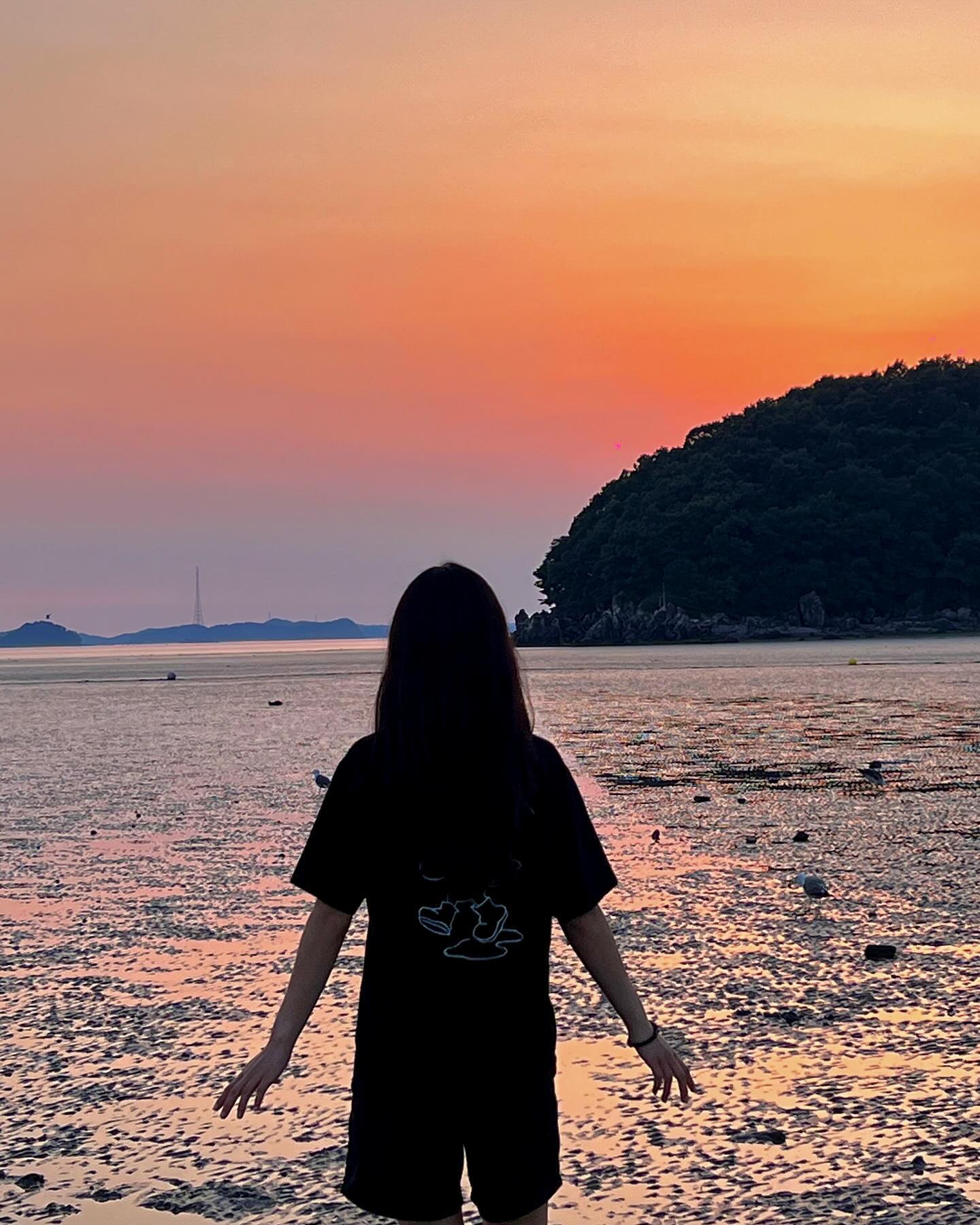 콘텐츠