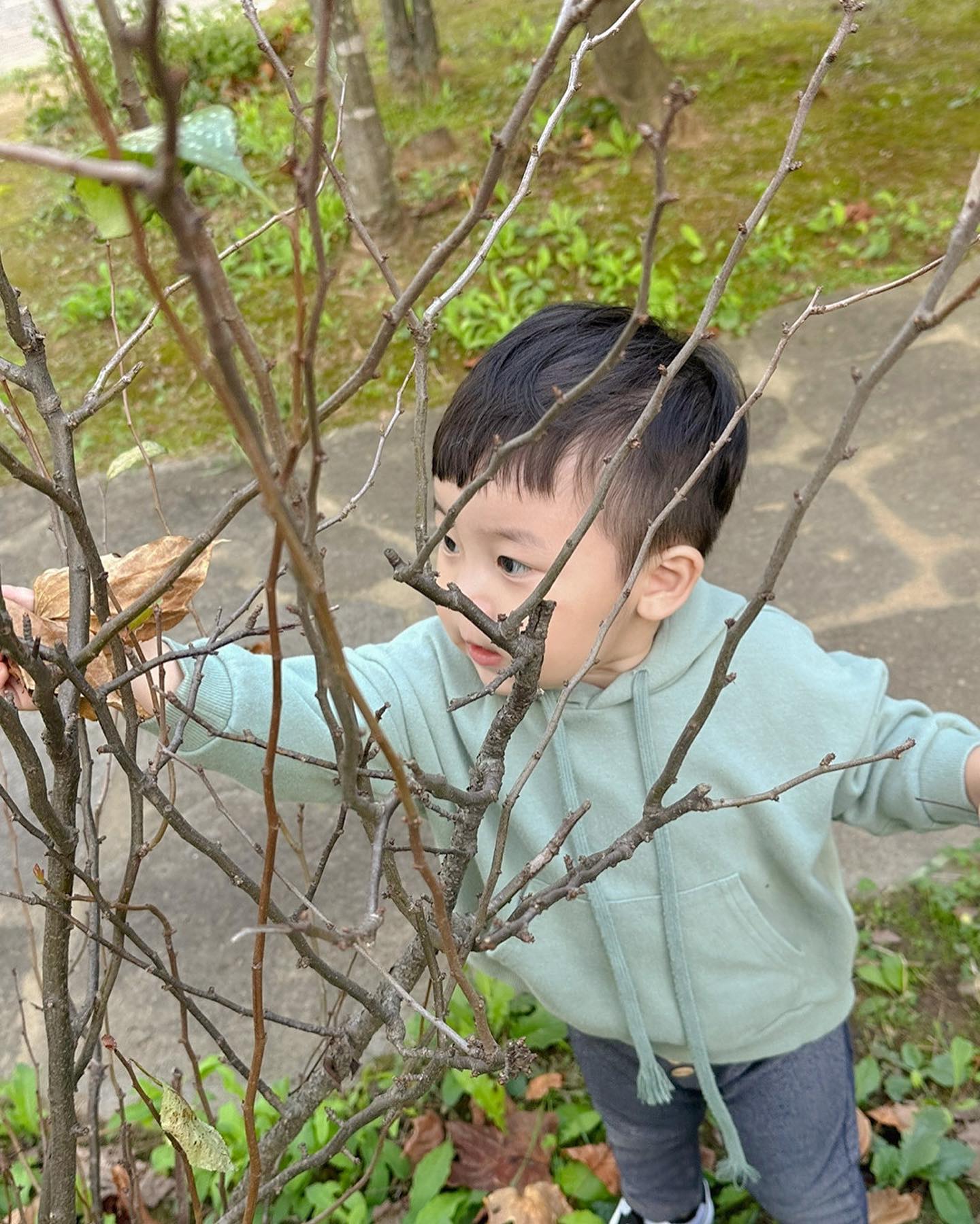 ❛ ᴗ ❛
⠀
⠀
나뭇잎을 날려버려🍂
⠀
엄마 병원다녀오는 동안
이모랑 재밌게 놀아줘서 고맙어🤍
⠀
이모 감쟈해요♡
⠀
⠀
#항쭈누 #쭈누일기 #일상기록 
#가을 #가을옷 #아들옷 
#아기옷 #아기ootd #babyfashion