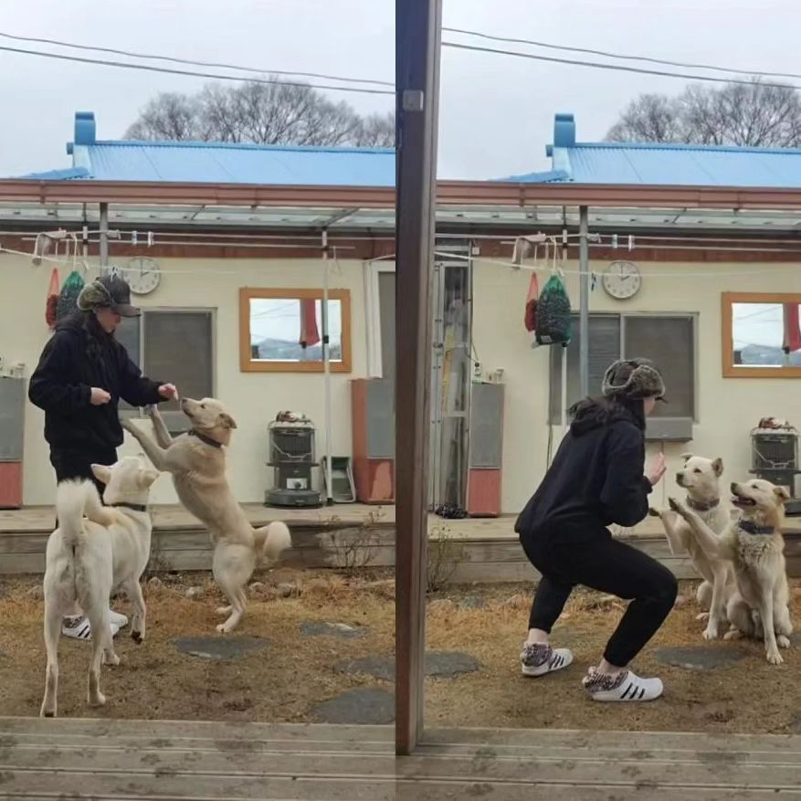 하루 세 끼, 들어야 할 강의, 미루던 중간고사, 책, 일기, 보고싶었던 영화 몽땅 해치웠는데도 7시가 안되던 여유로운 시골의 부지런함에 감사하며... 🎆🎇🎆
+ 심바라떼덕에 얻은 면허에 감사하며...
+ 성인 된 지 10년 만에 혼자 멋진 척 한 손 운전하니 찐 어른 된 기분에 감사하며,,
+ 넘치게 감사 해주심에 한 번 더 감사하며,,,,,✨️✨️
(+ 지영훈 신곡 일등으로 하트 누름 ,,,)