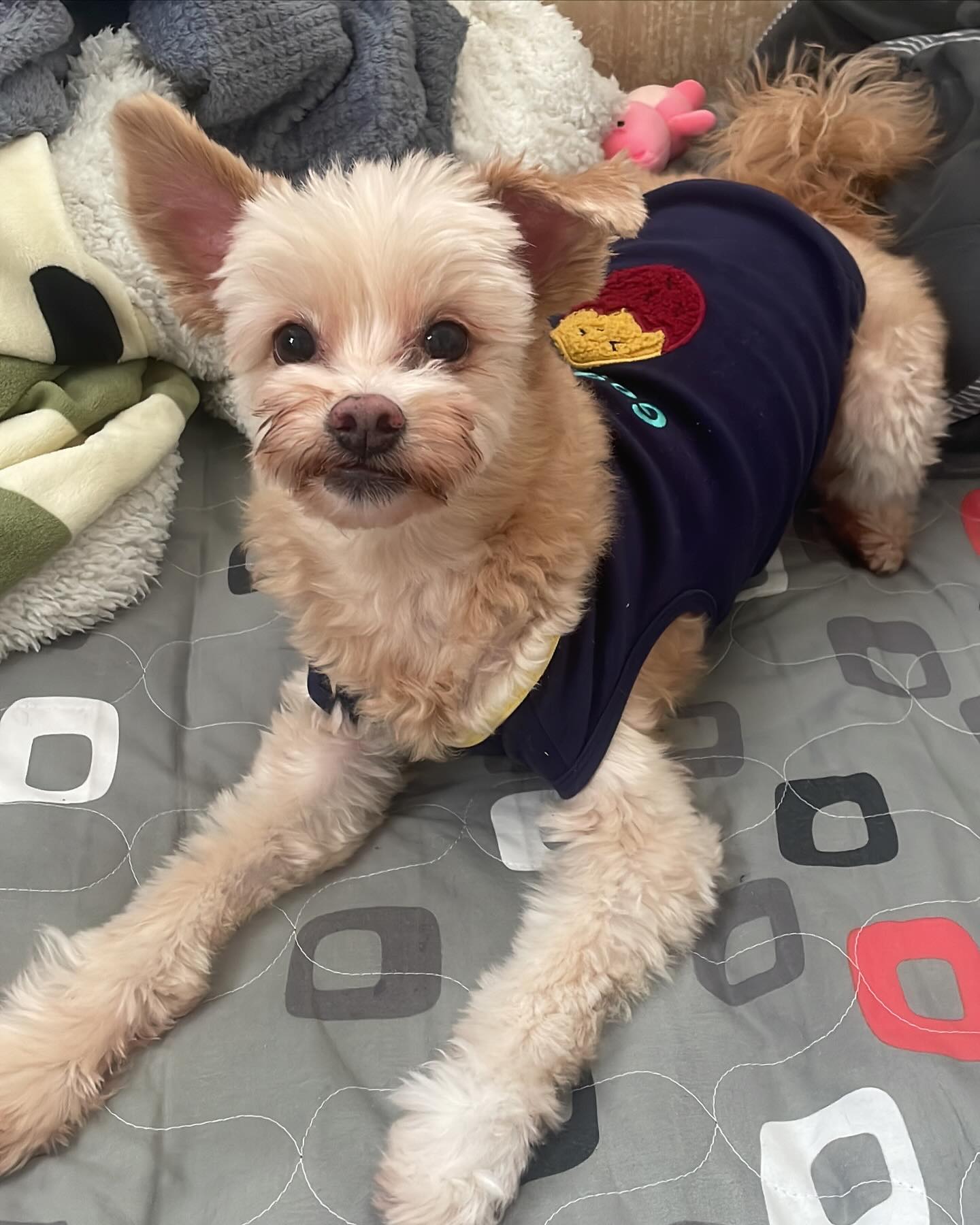 ㅁ꼬질꼬질 김뚱이
