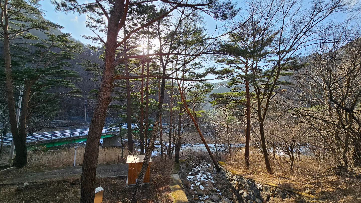 2박3일을 계획하였지만 1박2일로 끝났고

1박2일이지만 많은 일들이 있었던 캠핑

지독한 독감으로 한주가 지나서야 후기를 올리네

그토록 가고싶었던 콩콩팥팥의 식당들을 다녀오고

두근두근 기다림이었던 화목난로의 우당탕탕 신고신을 하고

동강 이후로 오랜만에 강풍에 시달리고

수년을 망설이던 루프백을 달고 간 캠핑!!

그 모든 것이 추억이고 또 살아갈 힘이 되었다

망설이지말고 떠날 수 있을 때 떠나자!!

.

#첫줄#선팔#맞팔#선팔하면맞팔#팔로미#팔로우#캠핑#인친#소통#일상#좋아요#좋아요반사#좋반#인스타그램#일상스타그램#인제#진동리국민여가캠핑장🏕#콩콩팥팥#화목난로#맥스파이더6063xl