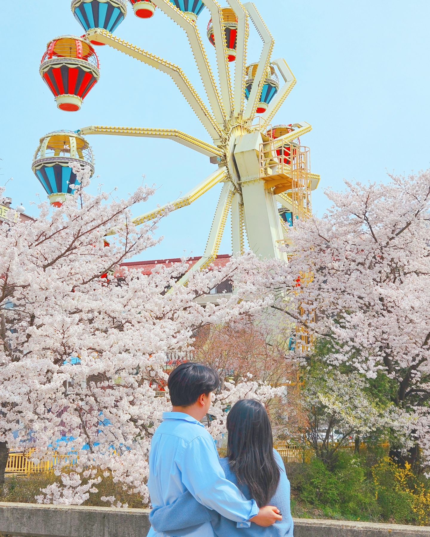 예쁜 벚꽃 앞에서 사랑하는 사람과 함께💓

우리 내년에도 함께 벚꽃 꼭 보러가자🌸

곧 8주년 기념인데 스튜디오에서
사진 예쁘게 찍고 오자구😍

예쁜 사진 찍고 올게요💙