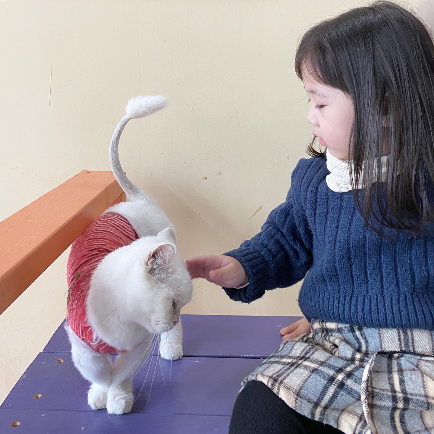 린이 첫 고양이카페 🐱
애견카페는 종종 데리고갔었는데 고양이카페는 이번이 첫 방문. 놀이터나 식당만가면 고양이 찾아다니고 쫓아다니기 바쁜 린이는 고양이카페 들어서자마자 최고조로 흥분! 고양이들이랑 같이 교감나누며 즐겁게 노는 모습보니 다음에도 또 데리구와줘야겠다❣️

#29개월아기
#아기랑고양이 
#아기랑고양이카페