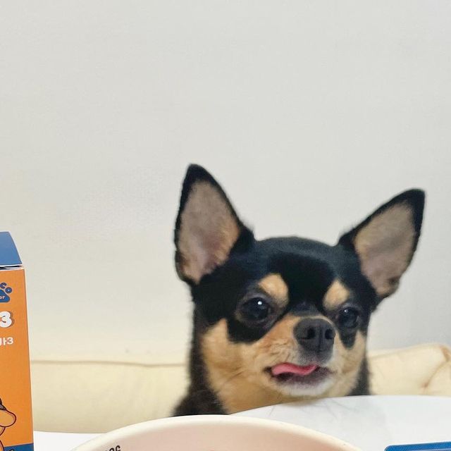 뚠뚜니 on Instagram: "#광고 이 집 오메가 3 잘하네 포쿠코 오메가 3는, 📌한 캡슐 당 오직 EPA+DHA 만300mg! 📌IFOS 5-Star 프리미엄 원료 사용 📌rTG 원료로 채워 체내 흡수율이 높아요! 📌세계 3대
