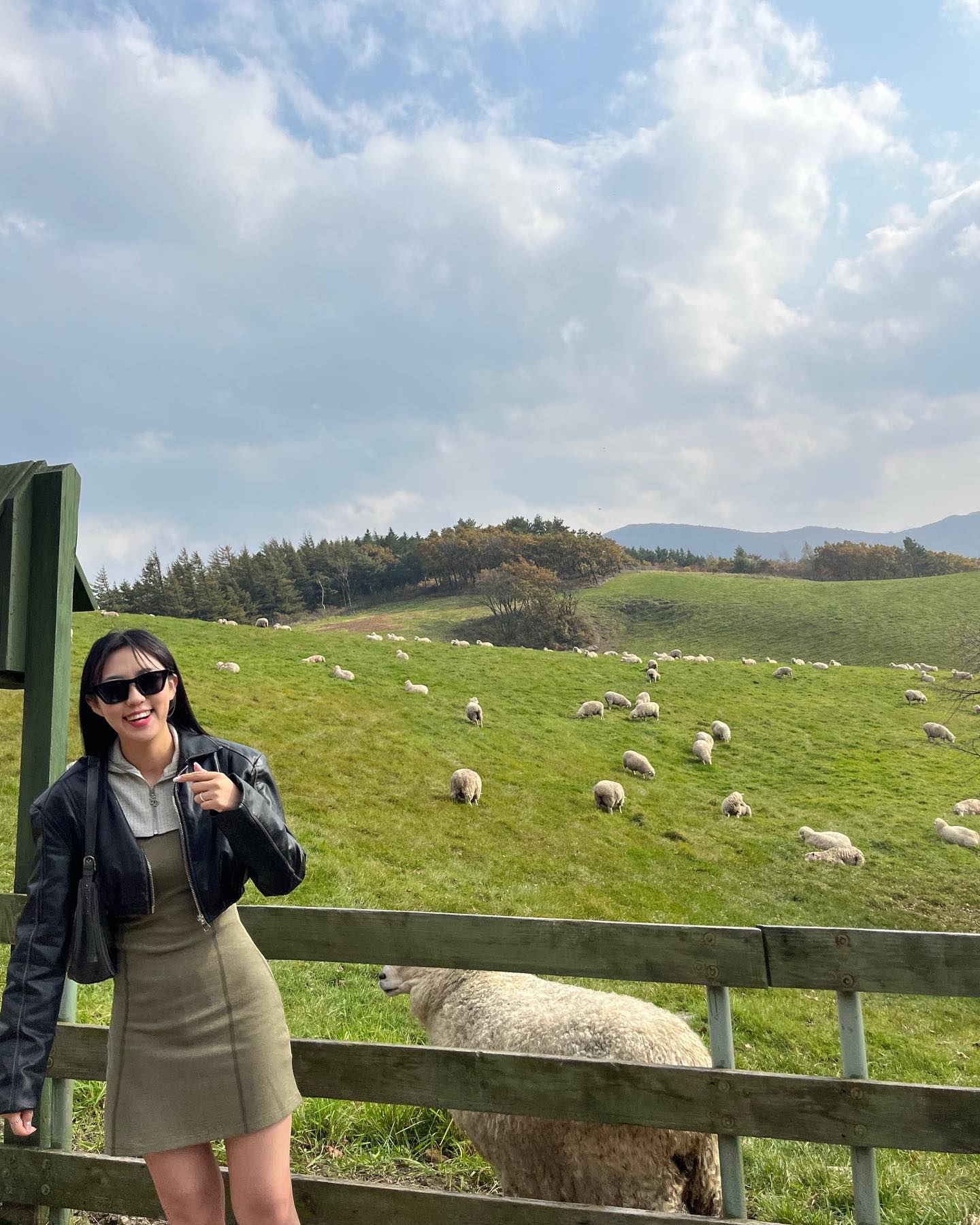 대관령에서 맨다리 내놓은것은 양과 잉잉뿐 
패딩을 입으세오🐑🌬️