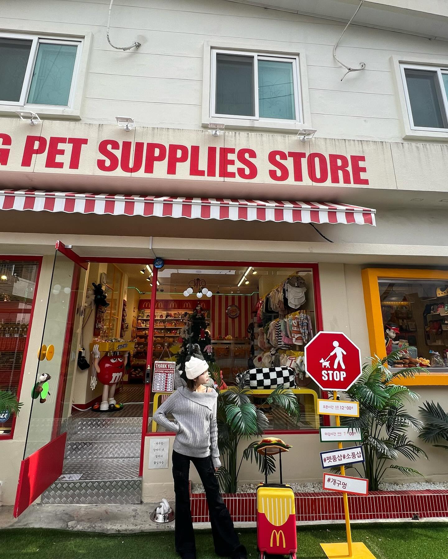 그로밋 소품샵 투어 🐶🐾