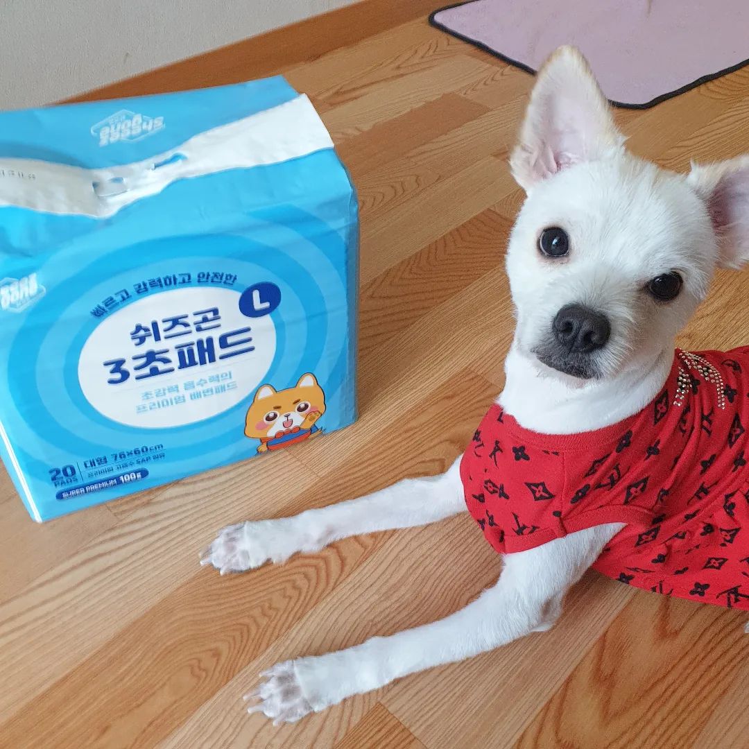 #제품제공#협찬#강아지배변패드
#쉬즈곤#3초패드#쉬즈곤3초패드 두부가 넘 좋아하는#배변패드
#배변패드추천#강아지패드 이거 너무 좋아용❤

타사 제품과 두께도 크기도 다른 이 스케일 보시오😵
🐶두부도 딱 좋아하고 관심보이고 바로 잘 사용함
앞으로도 잘 써보자구(งᐛ)ว (งᐖ )ว