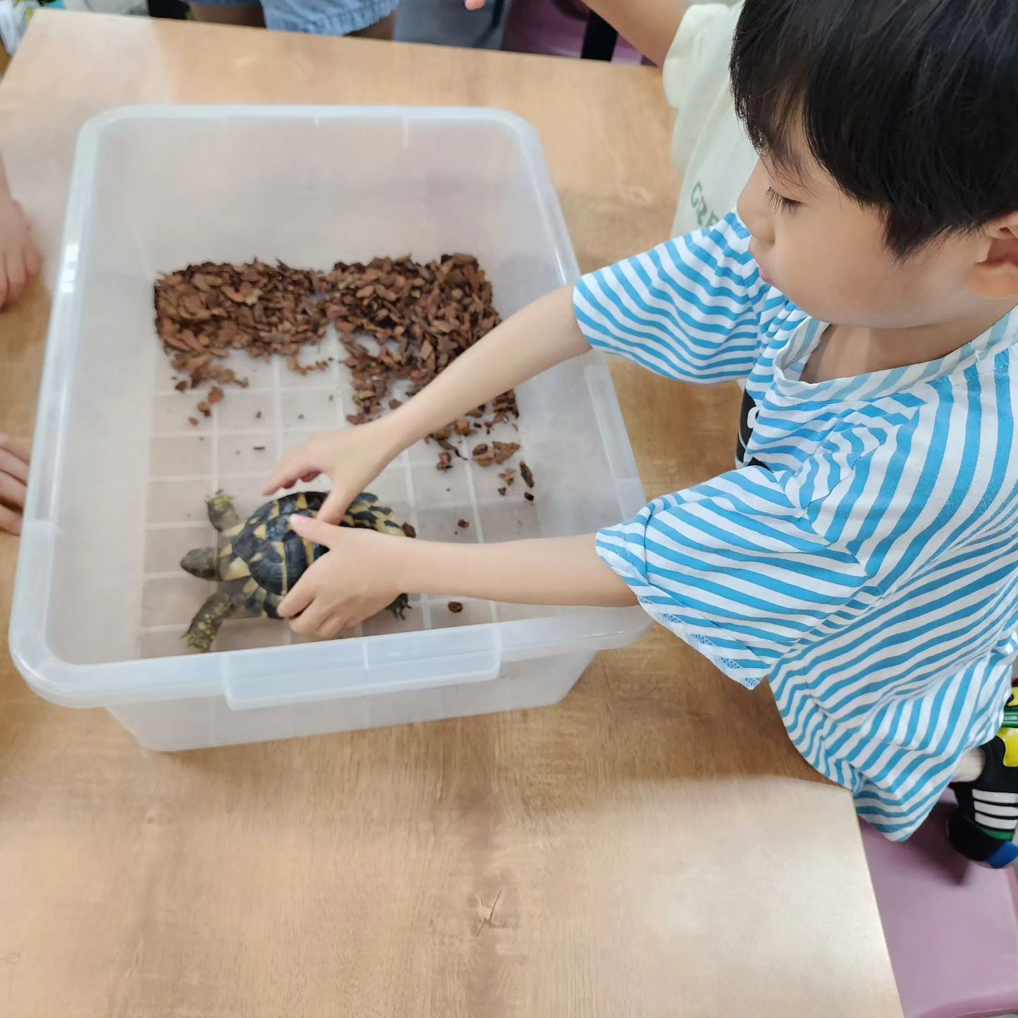 곤충체험

웅진북클럽 문화센터에서 
곤충 설명도 듣고 만져도 보기😊

겁쟁이라 하나도 안만질줄 알았는데
용기내어 쓰담쓰담 하는 아들😊

짧은 시간이라 아쉬웠지만
알찼던 수업♡