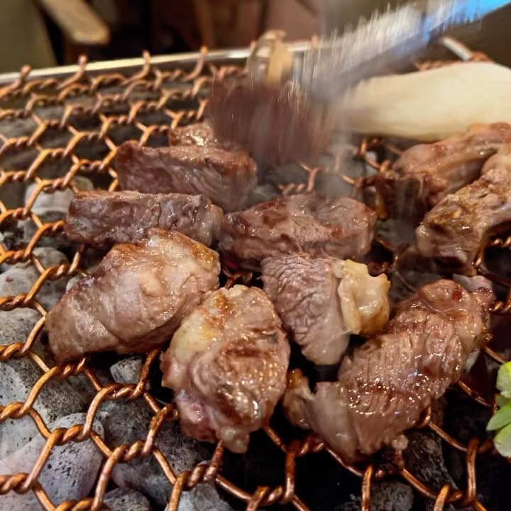 육즙 폭발 일산양갈비맛집
일산 대화 '램스데이'
⠀
-연중무휴
17:00 ~ 22 :00
일요일만 20시 마감
⠀
-주차
건물내 지하주차장 이용가능
⠀
-예약
예약시스템 없음
031-925-8284
전화로 예약하고 방문하시는거 추천^^
⠀
-생양갈비(220g)
가격 :1인분 29,000원
-생양등심(180g) 1일 한정판매
가격 :1인분 28,000원
-프렌치렉(200g) 1일 한정판매
가격 :1인분 32,000원
-명란밥
가격 :5,000원
-황태라면
가격 :5,000원
⠀
양갈비 아직 먹어본적 없거나
평소에 냄새 나가지구 제대로 못드셨다면
대화역에 있는 램스데이 완전 추천드려요!
⠀
12개월 미만 어린양 사용해서 그런지
육즙이랑 고기 부드러움이 장난아니에요!
⠀
프렌치렉은
깔끔 담백한 고기 좋아하시는분 추천!
생양갈비는
육즙 폭발! 쫄깃한 식감 좋아하시는분 추천!
생양등심은
프렌치렉과 생양갈비의 장점을 모아놓은듯한
중간값의 호불호 없을거 같은 메뉴였어요!!
⠀
개인적으로 저의 추천은 생양갈비
이거 진짜 미쳤습니다!!
⠀
요즘은 소맥대신에 고량주에 맥주 드시던데
저도따라 마셔봤거든요!!
⠀
고량주의 달달한 과일맛과
맥주의 시원한 탄산맛의 조합이 미쳤어요!
근데 더미친건 안주가 양갈비?!
술 한모금하고 안주 먹으면 극락이더라구요
⠀
사이드 메뉴가 명란밥이랑 황태라면이 있는데
그냥 공기밥 드시지마시구 명란밥으로 꼭드세요!
⠀
명란밥위에 고기 올려서 먹으면
오마카세 저리가라 느낌 납니다 ㅎㅎ
⠀
황태라면은 황태 들어가가지구 국물맛이
엄청 시원하구요 인원수에 맞게 덜어서주셔서
사장님의 센스에 감탄하게 되요!!
⠀
반찬도 진짜 정갈하게 나오면서 맛도 좋고
고기도 다구워주시고
뼈부위도 먹기좋게 잘라주셔요!
서비스부터 맛 그리고 분위기까지
너무나도 만족스러웠던 식당이였습니다!
⠀
⠀
#일산맛집추천 #대화맛집추천 #대화역맛집추천 #일산대화맛집추천 #일산가볼만한곳 #핫플맛집 #일산핫플맛집 #일산핫플식당 #램스데이 #먹자국일산 #먹팔해요 #먹스타그램 #먹팔 #푸드스타그램 #좋아요 #좋반 #좋아요반사 #lfl #fff #koreafood #koreanfood #맛스타그램 #맛집스타그램 #맛집탐방 #맛집투어 #맛집공유 #맛집여행 #韓国料理