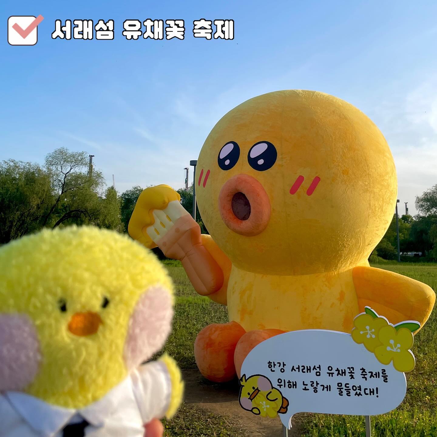 🐥여기도 노랗게 물들었따🐥

2024 반포한강공원 서래섬 유채꽃 축제,
유채찬란💛

올해 유채꽃은 활짝 피지 않고 
듬성듬성있어서 아쉬웠지만
여기저기 샐리여서 너무 즐거웠따!

그리구 원래 유채꽃밭엔 날파리인지 
벌레가 그렇게 많은건지
처음 알았따😂

덕심 하나로 버티고 덕심 채우고 오기 완료🐥💛

#반포한강공원#서래섬#유채찬란#유채꽃#축제#유채꽃축제#유채꽃밭#반포#한강공원#라인프렌즈#linefriends#sally#샐리