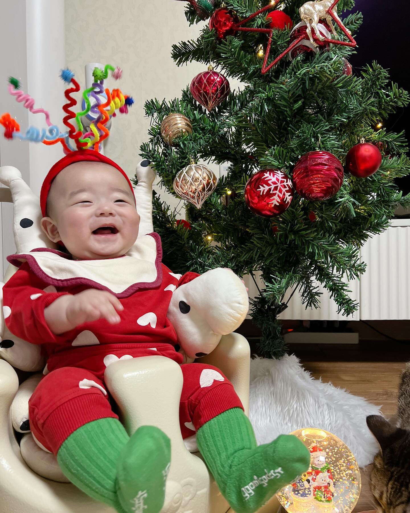 제민이와 첫 크리스마스❤️🎄🎅🏻

즐거웠던 추억🌉

행복한 오늘👨‍👩‍👦❤️

함께 웃을 내일🥰

사랑해 우리 가족들❤️

(이번 연도에는 엄마 아빠 하고 싶은 거 했지만..ㅎㅎㅎ
내년에 우리 제민이가 말을 하기 시작하면! 요구하겠지ㅎㅎㅎㅎ 기대된다🫣)

🚨마지막 사진 아빠 껌딱지 제민🚨

#첫크리스마스 #크리스마스 #아기와크리스마스🎄 #사랑하는아들과함께🙋❤ #행복한크리스마스 #사랑해아들 #앞으로더행복하자 #니가있어서행복해❤️ #너를만나행복해 #육아 #육아소통 #육아일상 #육아일상기록 #육아맘 #육아맘소통 #일상 #일상소통 #크리스마스추억 #행복한가족👪