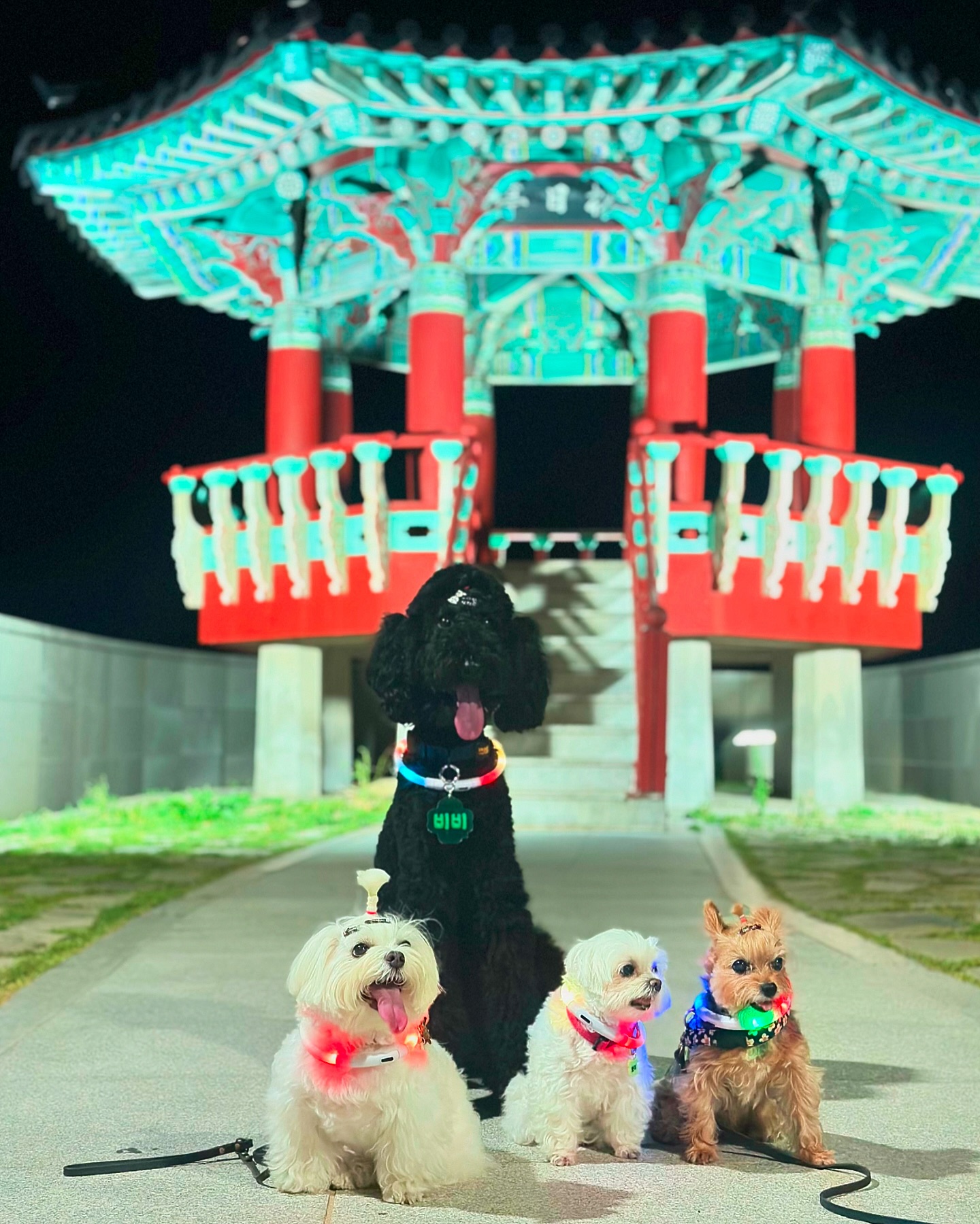 콘텐츠
