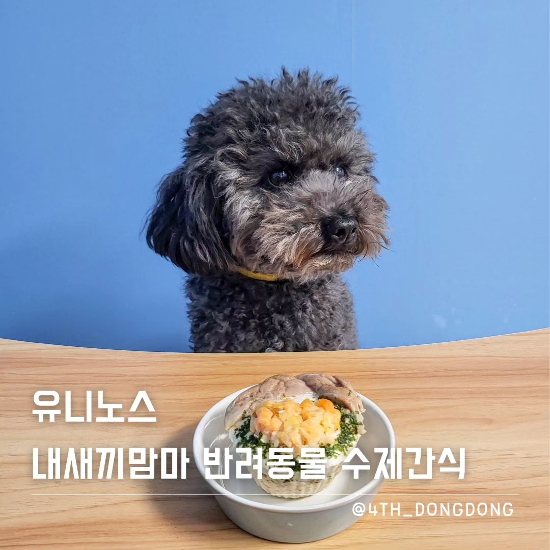 🎁업체로부터 제공받은 제품입니다🎁
uninos_pets_life #유니노스 #내새끼맘마 #강아지영양간식

얘두라! 기호성 최고인 간식 찾아땨 😆

엄마가 전자레인지에 간식 돌리기만 해도
나도 모르게 전자레인지 앞에 가서 발을 동동 구르게 만드는 😁

내 영혼의 단짝 겨리 생일파티에
딸기 케이크는 쳐다보지도 않게 만든 🤗
유니노스에서 나온 [내새끼맘마]

🔸️기호성 최강
나 이동동, 내 견생동안 리뷰를 위해 다양한 맘마를 맛봤지만
이 정도로 기호성 최강인 맘마는 오랜만에 보는군 😎
특히 소고기머핀은 나 동동이의 발을 동동 구르게 만든 간식 👍

🔸️ONLY 고기 + 원재료
머핀은 모양 잡고 양을 늘리기 위해 쌀가루를 쓰는 경우가 많은데
이건 그냥 ❤️O.L.N.Y.고.기.❤️
(타사 쌀가루가 들어간 제품과 원재료 차이가 엄청나다는 건 팁)
또, 신선한 당근 등 순수 원료만 들어가 믿을 수 있다구 😁

#애견간식 #강아지간식 #강아지수제간식 #강아지간식추천 #애견간식추천 #강아지머핀 #고양이머핀 #고양이간식 #애견수제간식 #고양이간식추천 #수제간식전문점 #반려견간식추천 #반려견머핀 #강아지머핀케이크 #반려견영양간식 #강아지기력회복