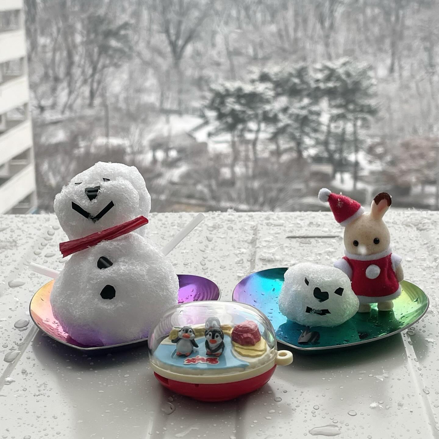 새 가족❤️