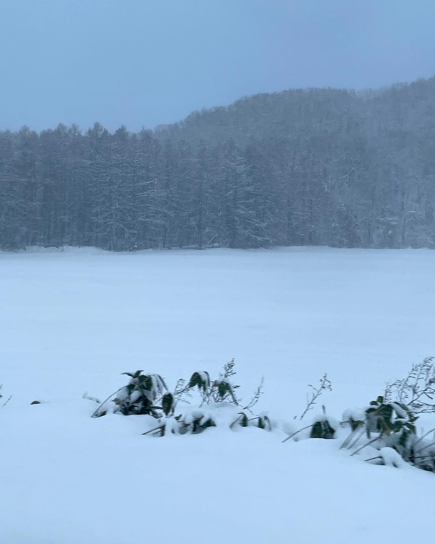 겨울분위기 제대로🌨️❄️