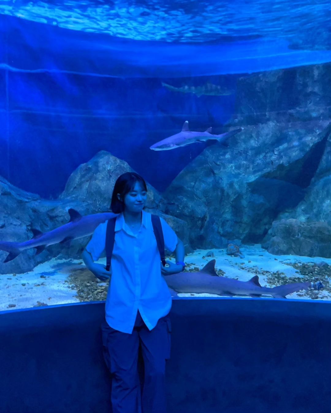 🦈🐠🐋🪼