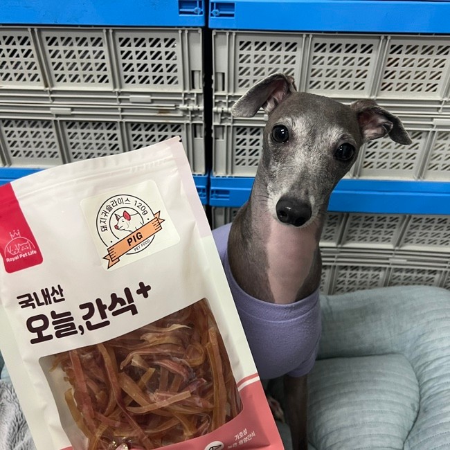 강아지 오늘 간식, 돼지귀 슬라이스 추천해요!