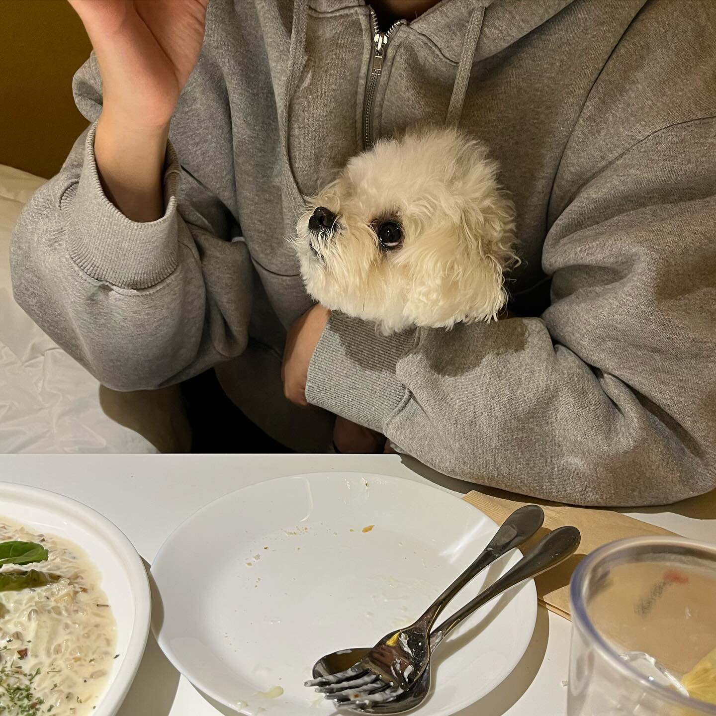 호시탐탐 기회를 노리는 중🧐