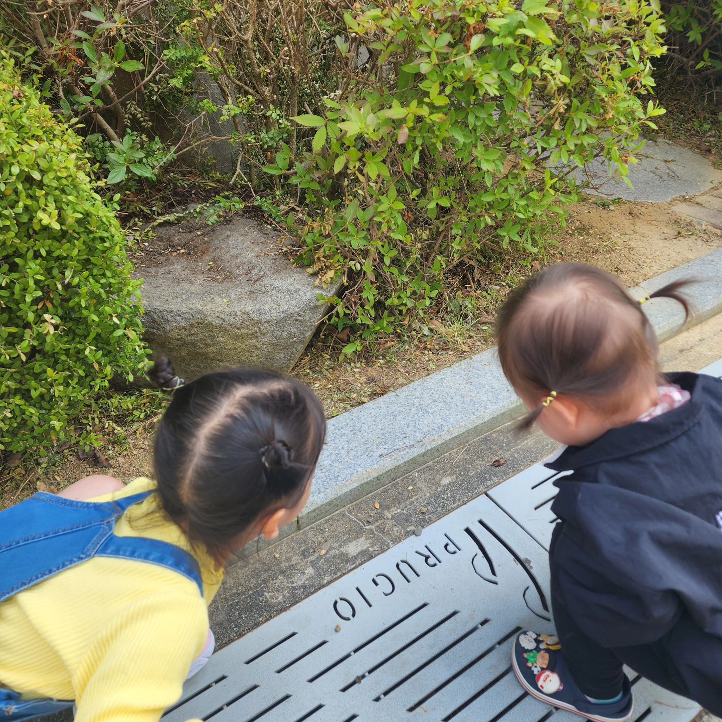 D+ 1099 & 579 🤍

오랜만에 만난 내새끼들 지유는 내가 화장하고 밖에서 보면 낯을 유난히 많이 가리는거같다 그래도 금방 풀고 구강검진받으러가고 접종도하고 내새끼들 오랜만에 보는데 무서운건 다해버렸네 괜히 미안하지만 중요한거니까 그걸 엄마가 같이 해줘서 엄만 너무 행복했어ㅎㅎ 우리지아는 어린이집 데릴러가서 앞에서 보자마자 엄마 보고팠어하며 계속 안기고 뽀뽀해주고 엄마도 너무보고싶었어 항상 너희 보는날엔 슬프기도하고 너무 미안하기도하지만 너무 기뻐서 눈물부터 나와ㅜㅜㅜ 그래도 오랜만에 보는엄마가 우는모습 보여주기싫어 꾹참고 또 참아 우리아기들 웃게만 해주고싶어서 어떻게 행복하게 해줄까 수없이 고민해보지만 아직 부족한엄마이기에 더좋은거 아직못해줘서 미안할뿐이야
더 나은 엄마가 될께 꼭 성공할께 우리아가들 엄마 볼때마다 사랑듬뿍줘서 고마워 너무너무 사랑해 나중에 울아가들 품속에 자러갈께 내일 아침에보자 좋은꿈꿔 내사랑들 🤍🤍