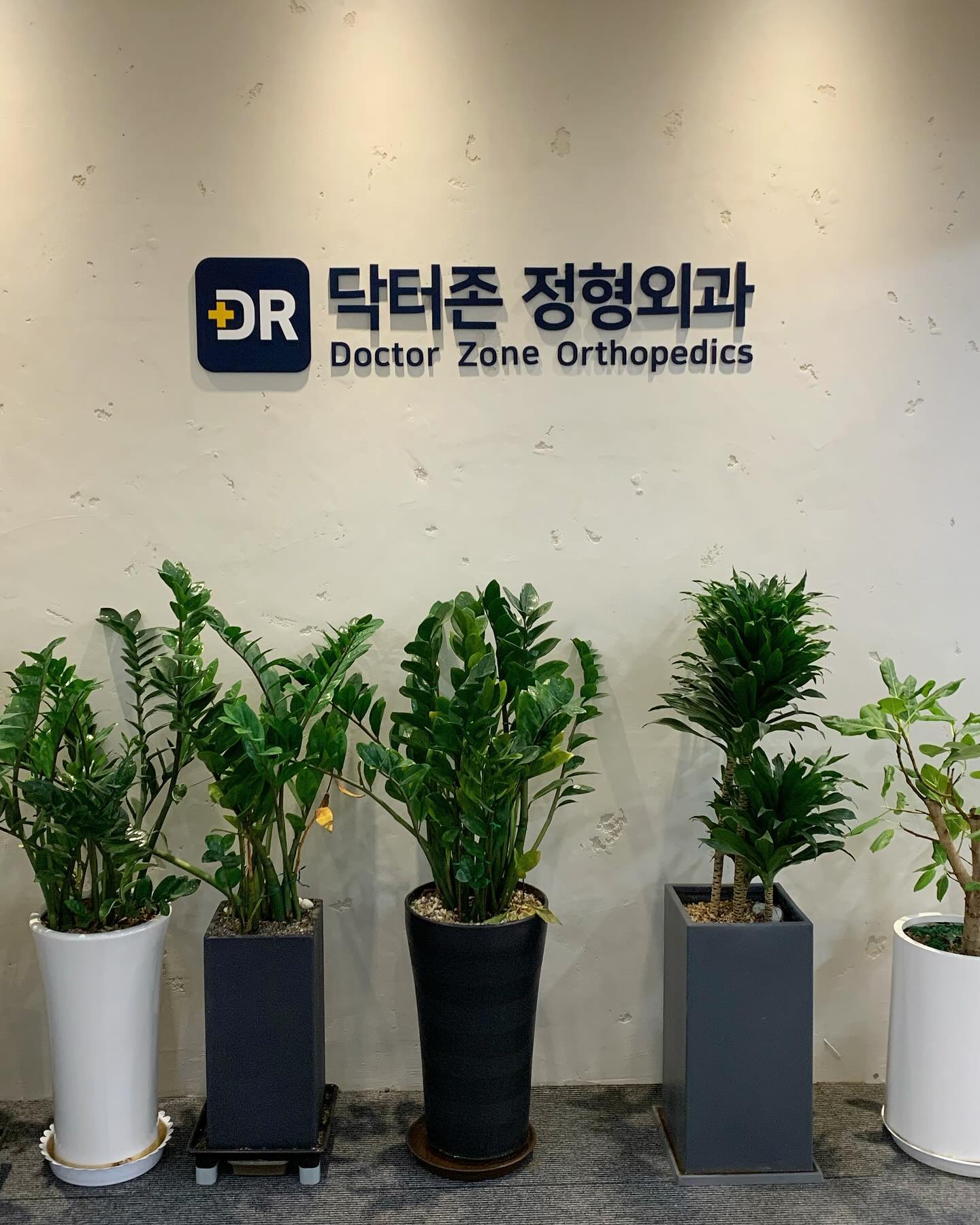 #닥터존정형외과 
닥터존 정형외과에서 신체 상태 체크 후,
도수치료까지 받고 왔습니다🩺
깨끗하고 넓은 최신 시설과 친절한 병원 관계자분들
덕분에 더욱 편안한 진료 및 치료가 될 수 있었습니다

역시 격투기 선수들 외에도 많은 유명인분들이 찾아주시는
이유가 있다고 생각이 들었습니다
운동선수분들 뿐만이 아니라 모든 분들의 건강은 중요하니
정형외과적인 치료가 필요하신분들은 꼭 내원해보세요!