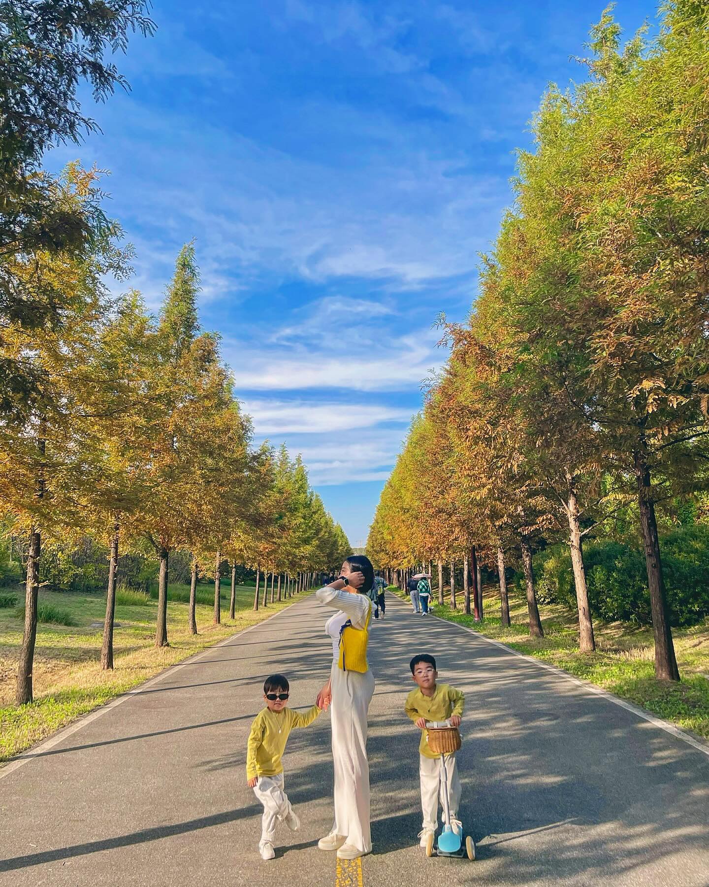 🌳🌳🌳🌳
너무 예뻤던 길