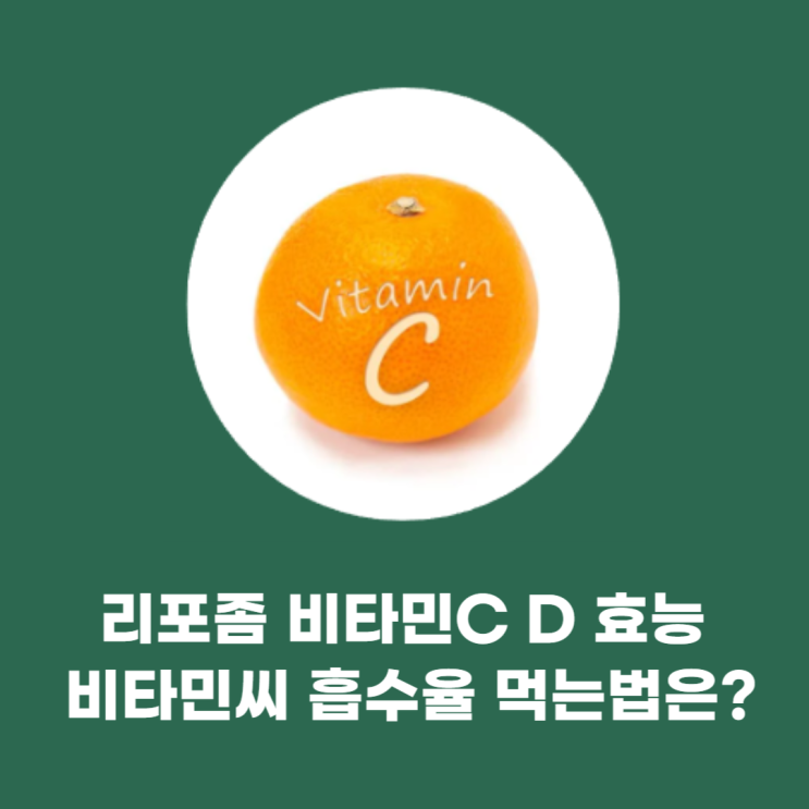 리포좀 비타민C D 효능 비타민씨 흡수율 먹는법은?