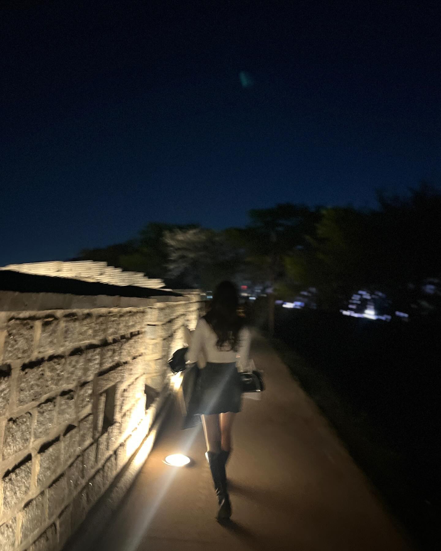 어찌저찌 올해도 벚꽃 보긴 봤네🌸