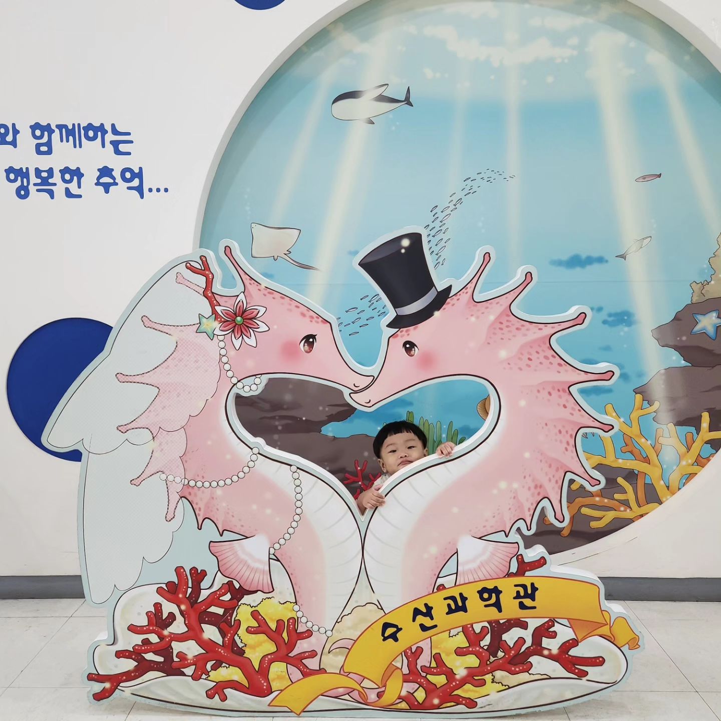 #국립수산과학관

여기도 혼자 애둘 데리고 오기 편해서 심심하믄 오는곳이지만 물고기밥주러 간다며 좋아하는곳..ㅋ
물고기밥 다섯개 사자는거 세개로 타협..
이날은 놀이방에서 만난 언니들이 하윤이를 이뻐해주고 같이 놀아줘서 더 재밌던날ㅎ
하윤이는 처음으로 너구리 먹어본날
서우는 까까머리가 된 날🤣🤣🤣