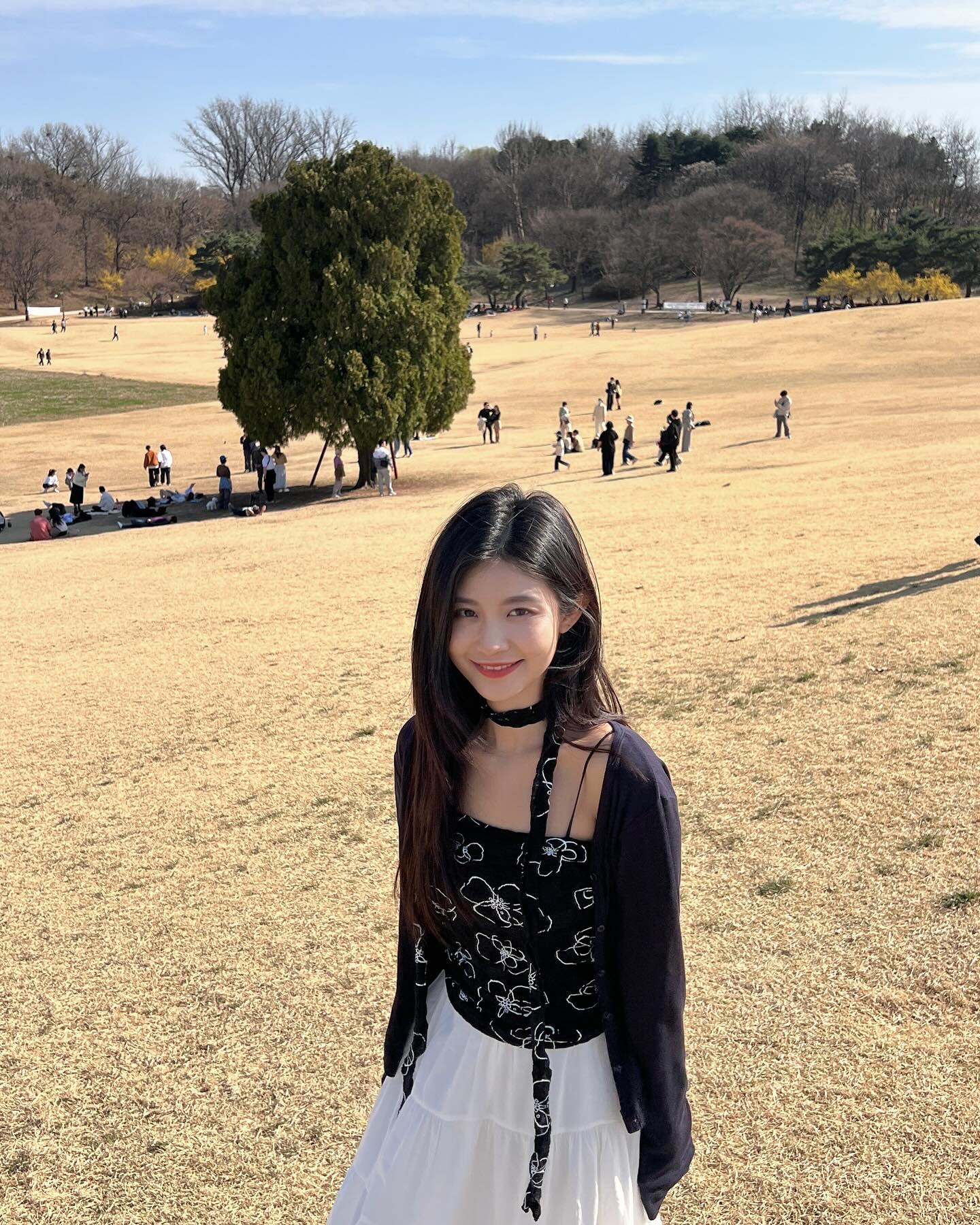 🌳