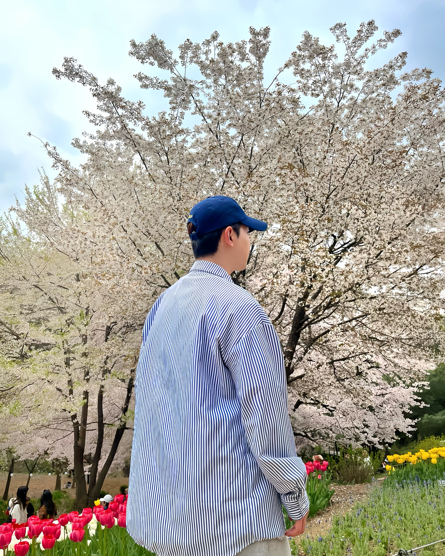 꽃놀이 막차🌸