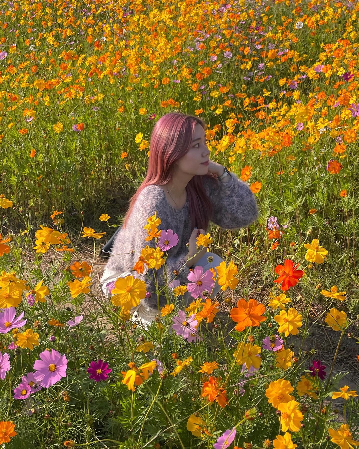 🌷